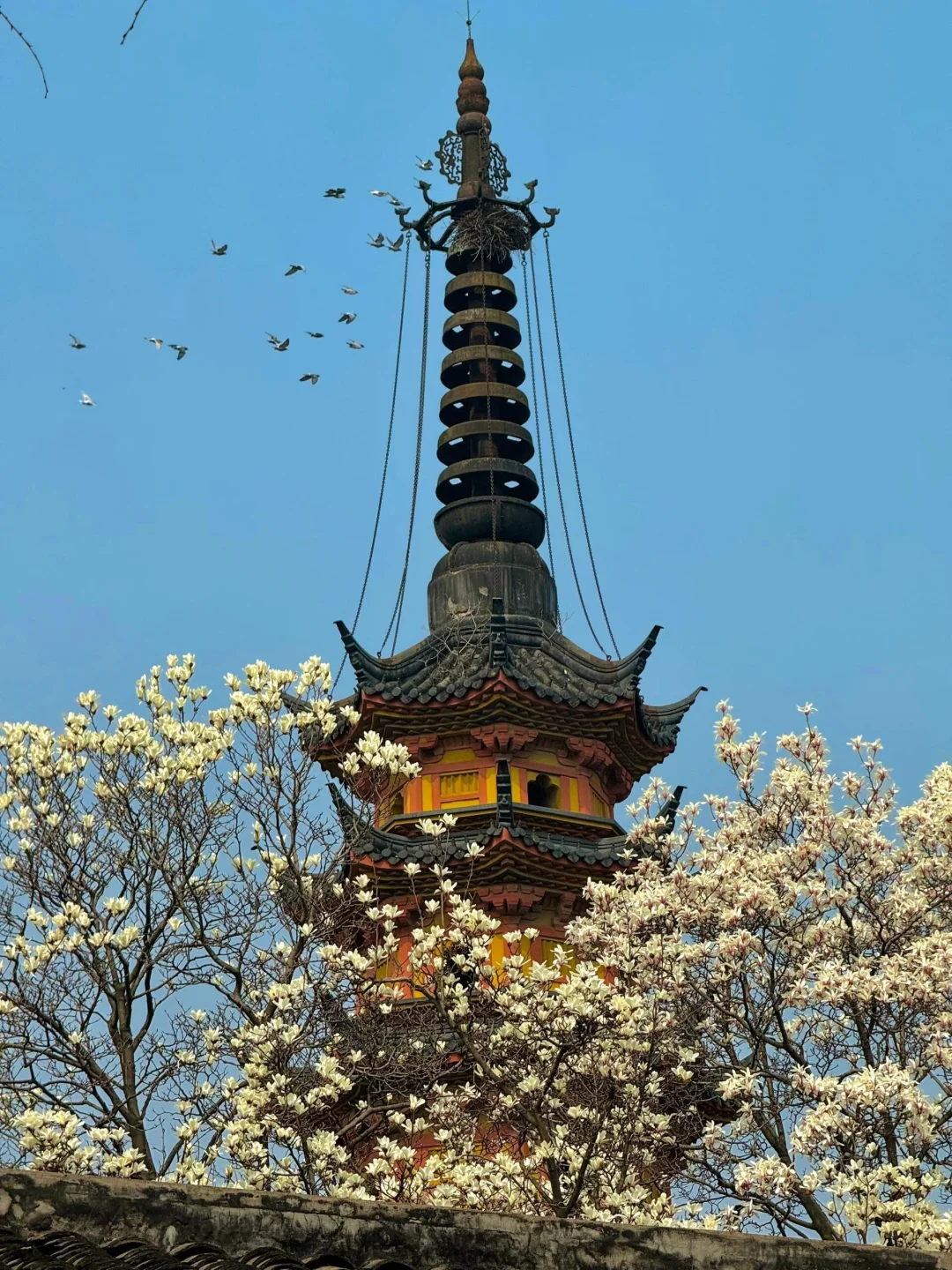 生命是一万次的春和景明