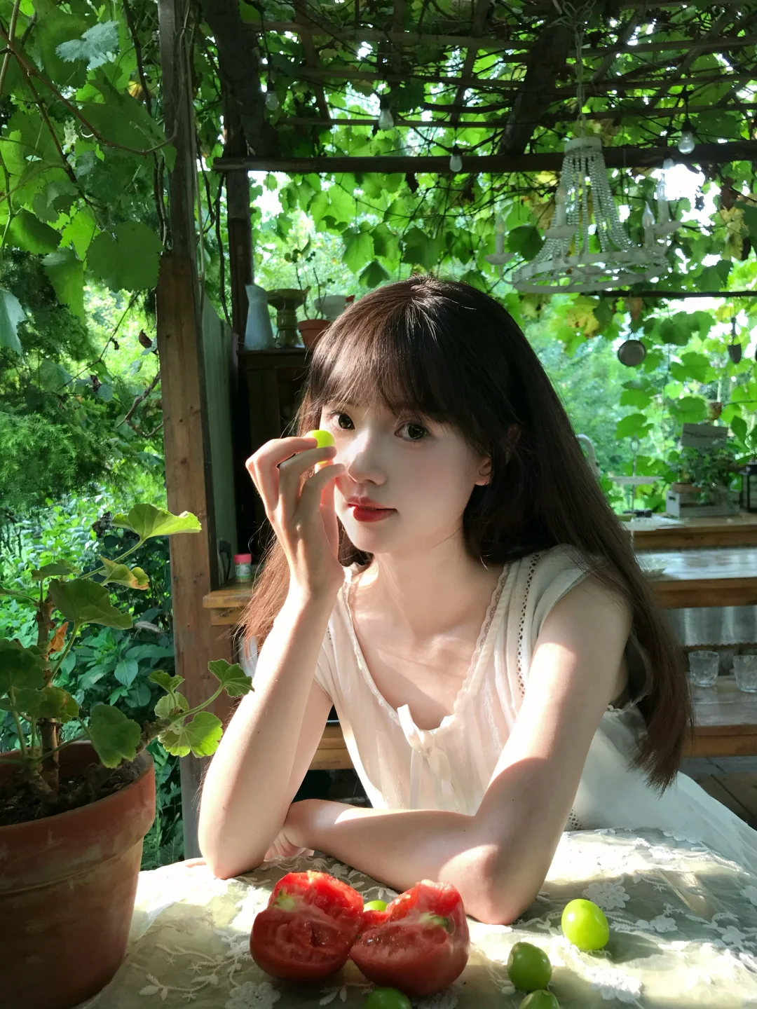 爱上这绿意和阳光🍃