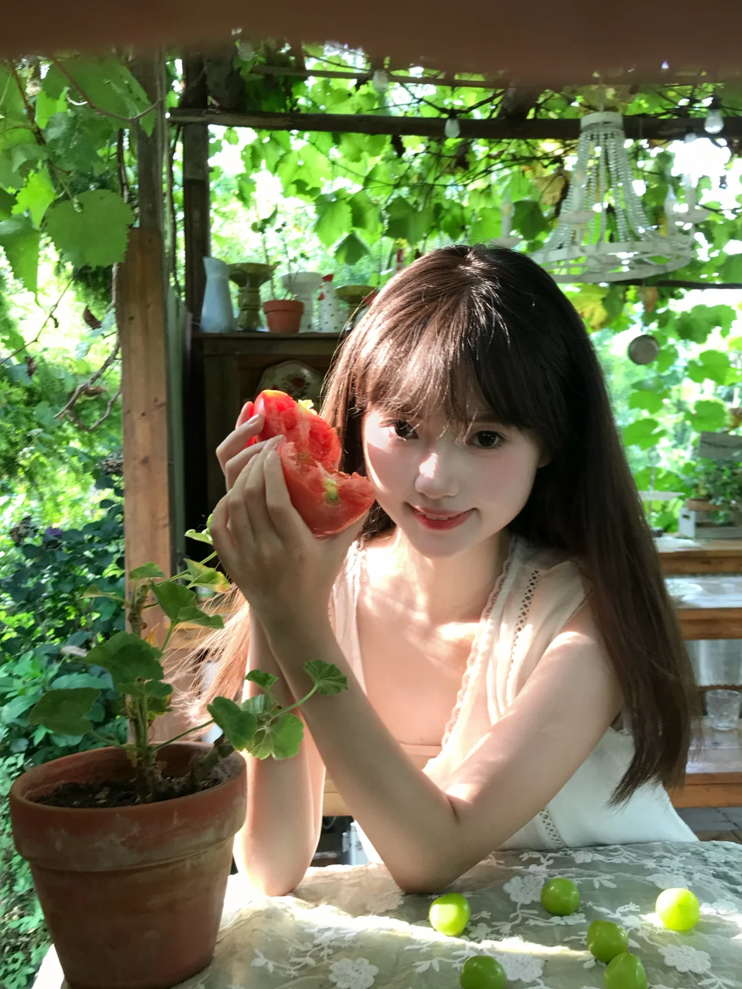 爱上这绿意和阳光🍃