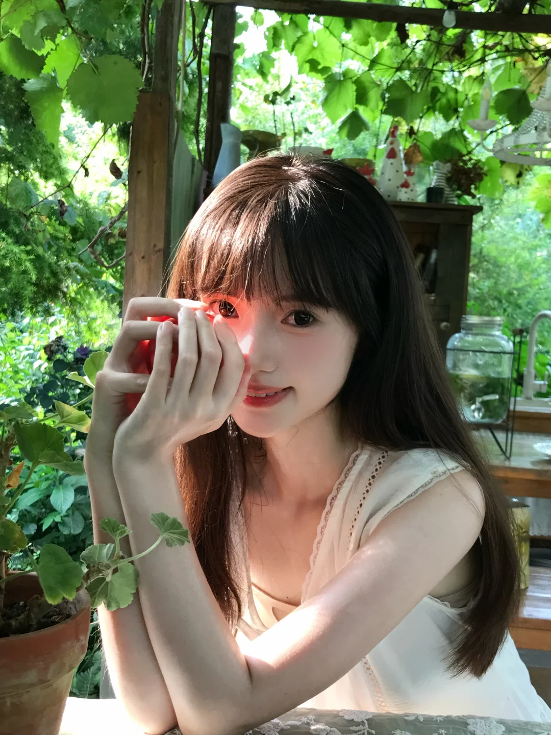 爱上这绿意和阳光🍃