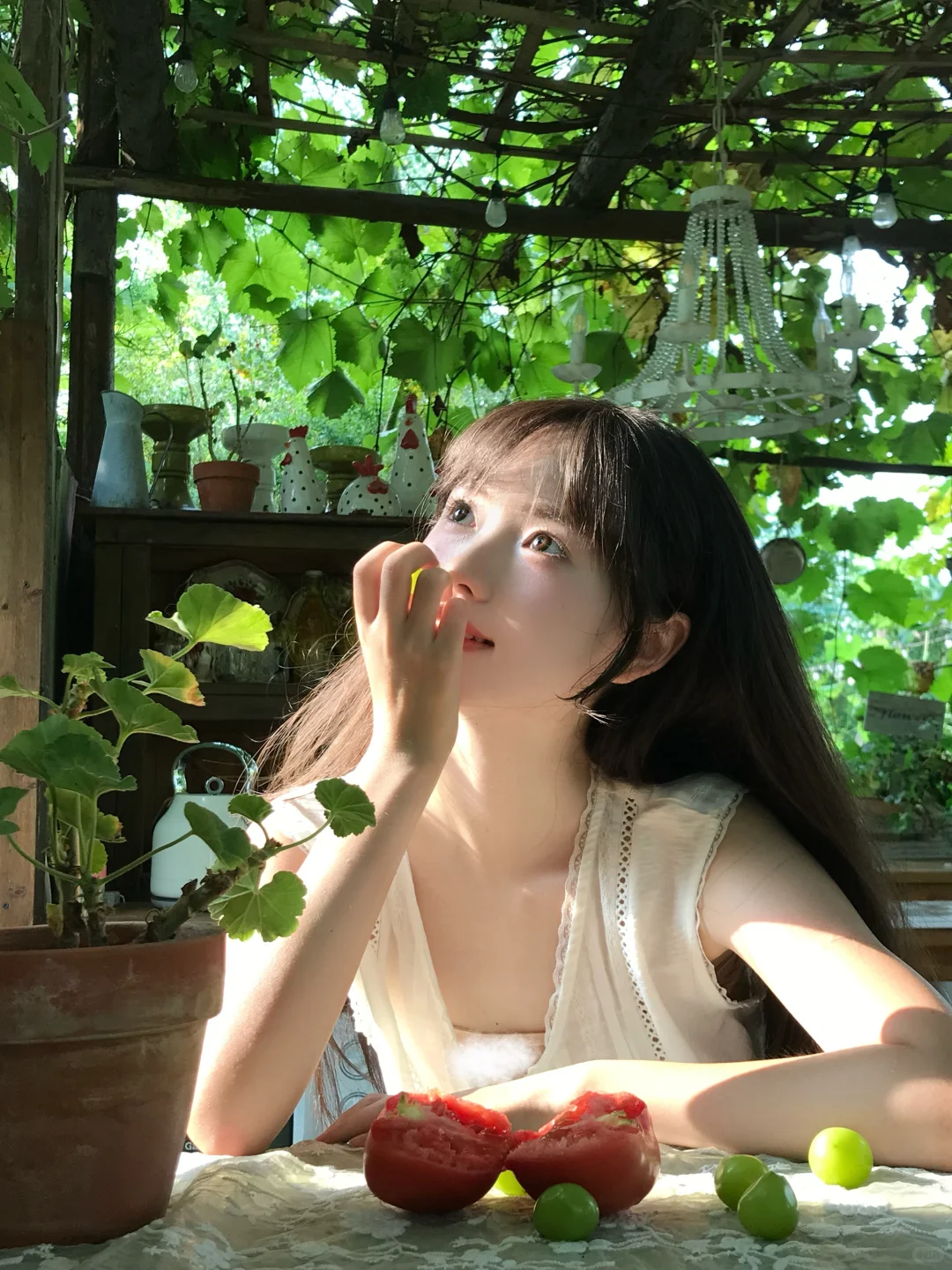 爱上这绿意和阳光🍃