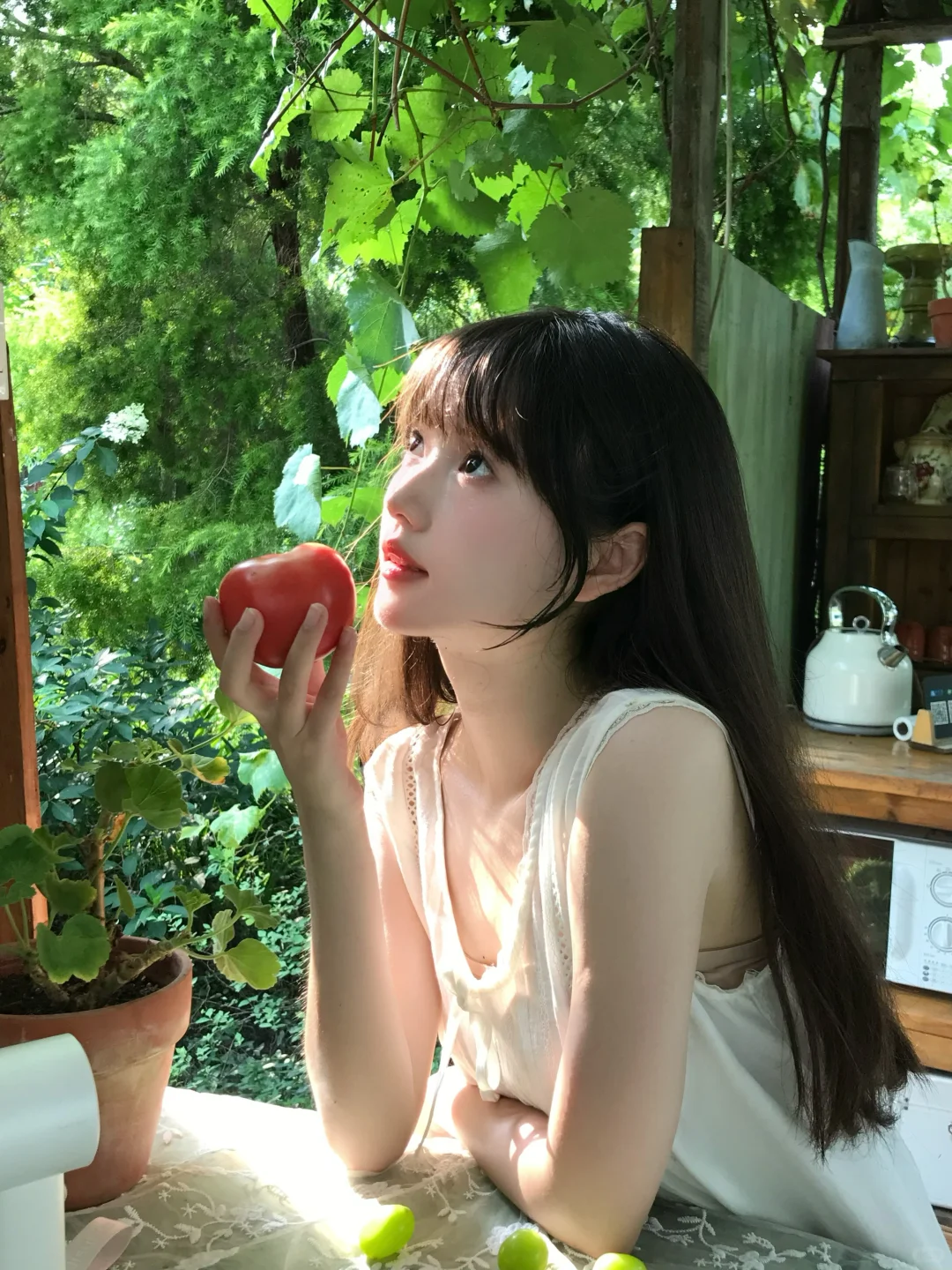 爱上这绿意和阳光🍃