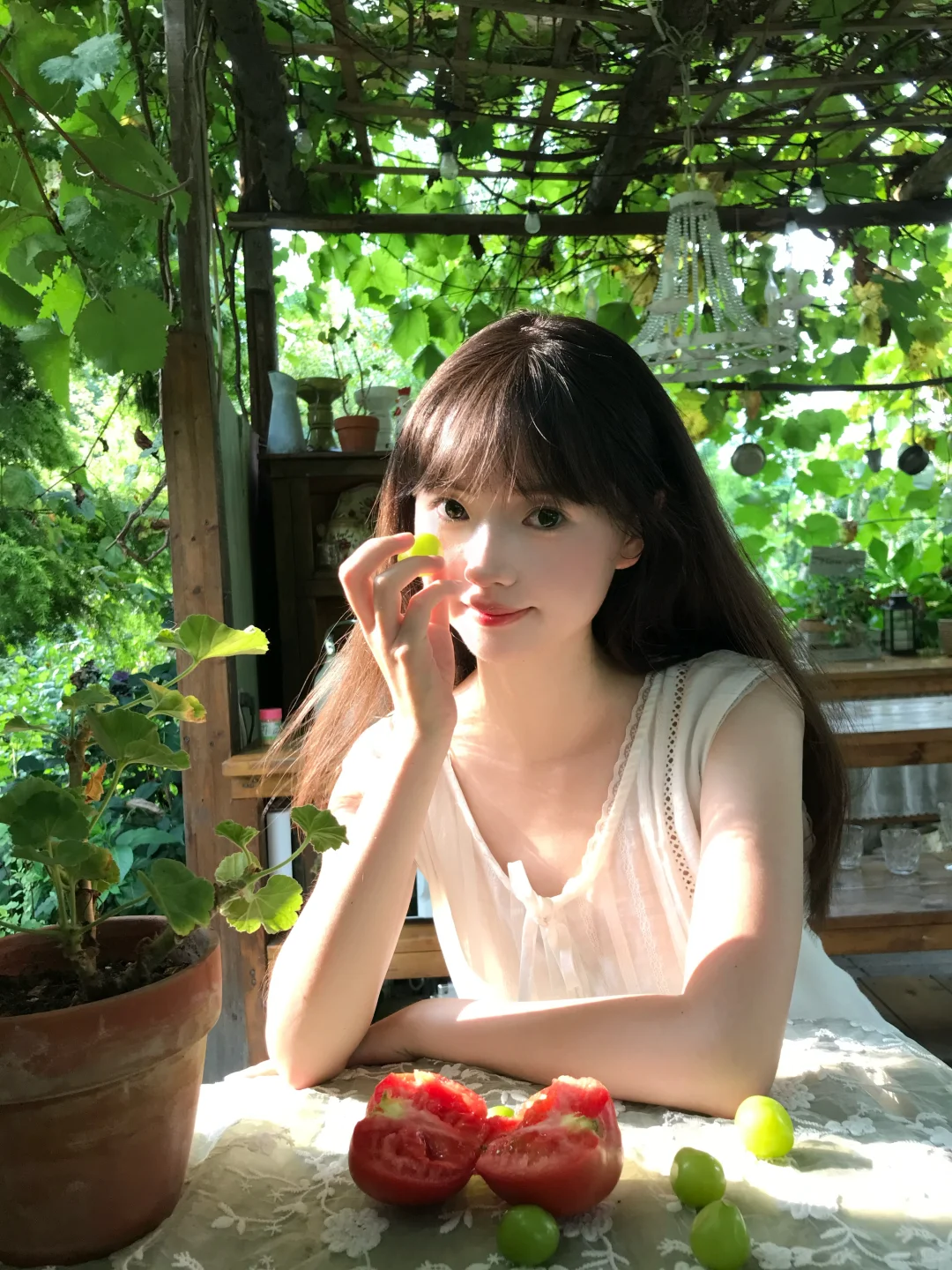 爱上这绿意和阳光🍃