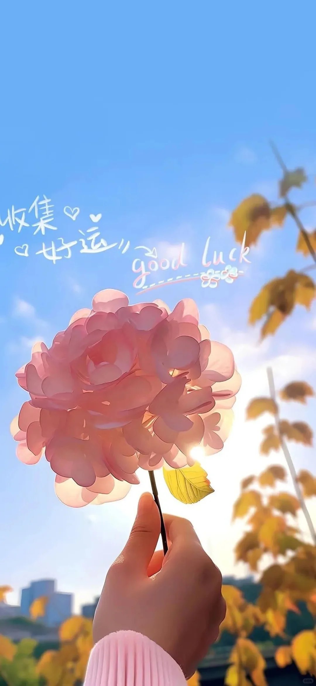 新的一天，也要闪闪发光哦💗