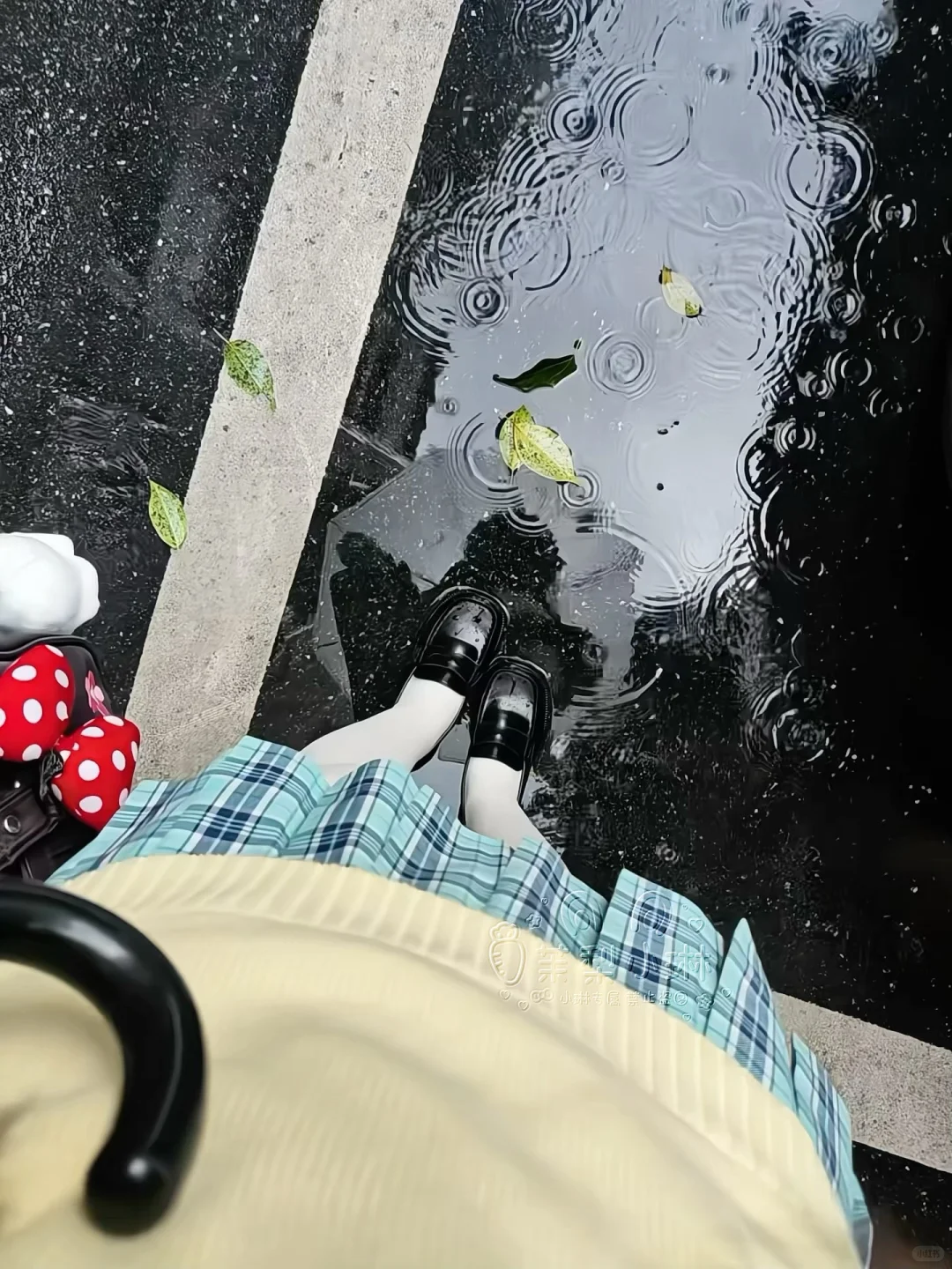 站在那里发什么呆ᐞ･֊･ᐞฅ