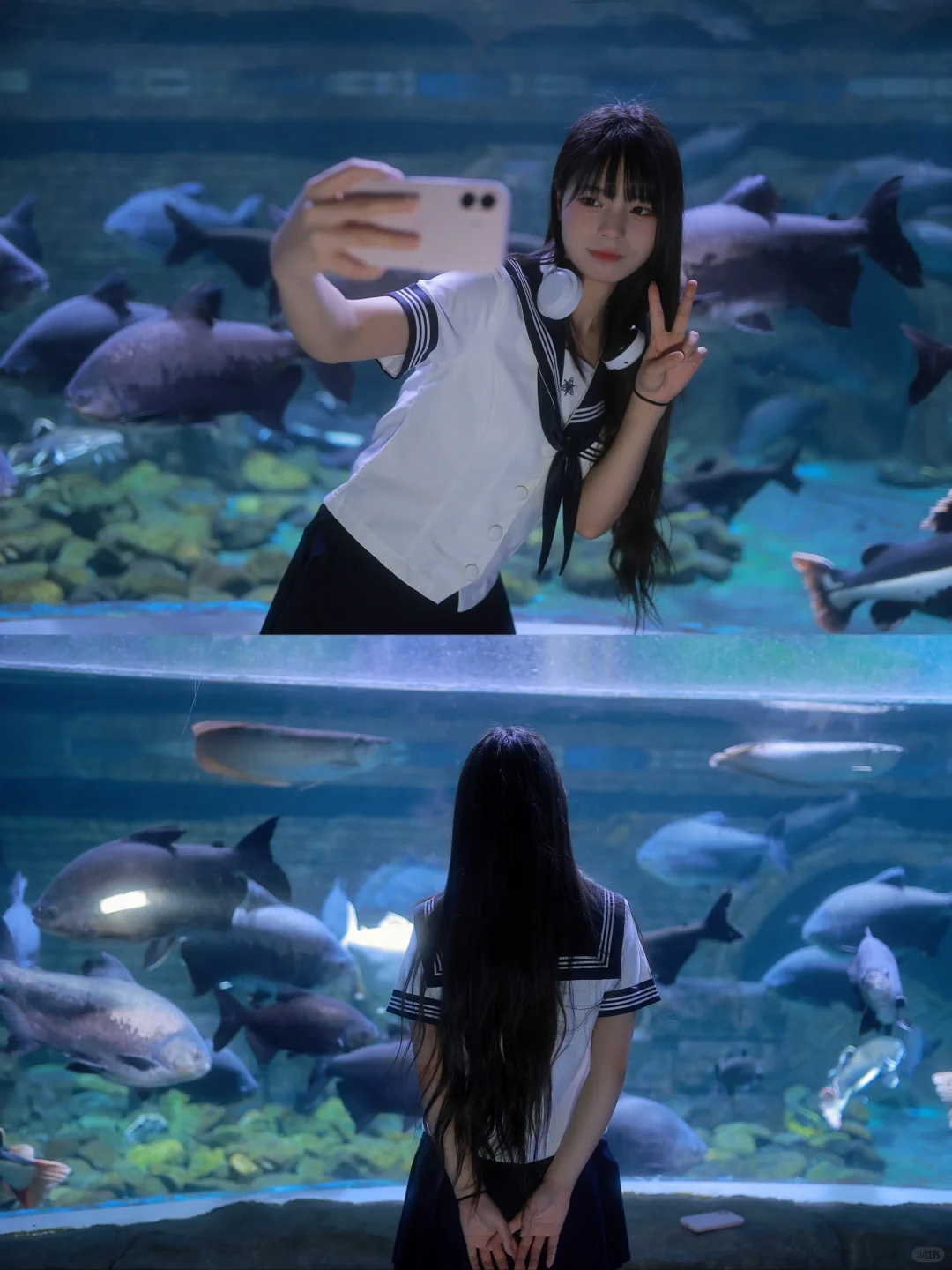 海洋馆 三本白 水手服 过膝袜
