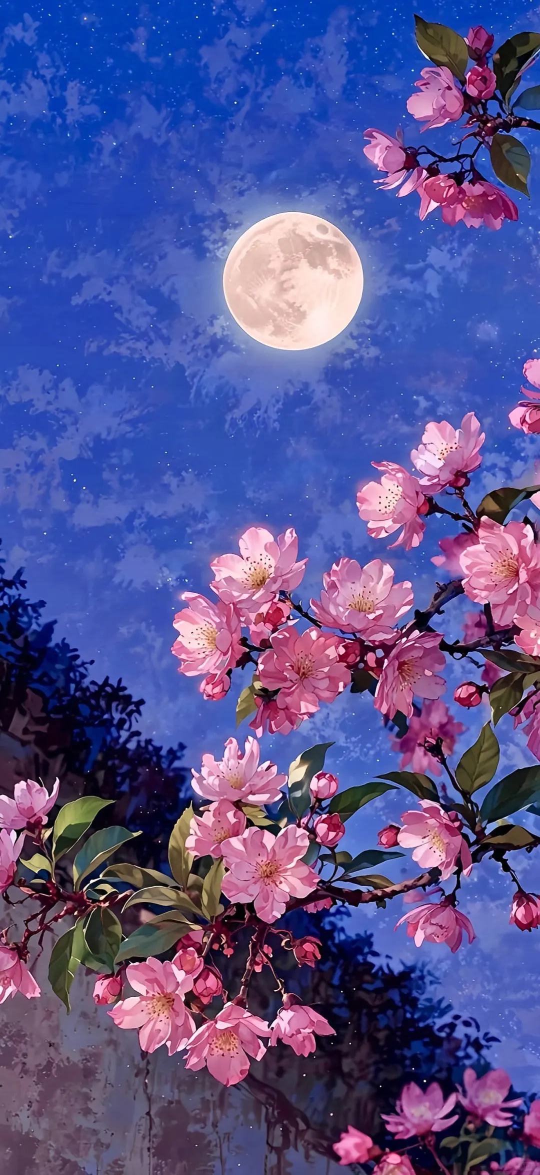 个性化小众壁纸～