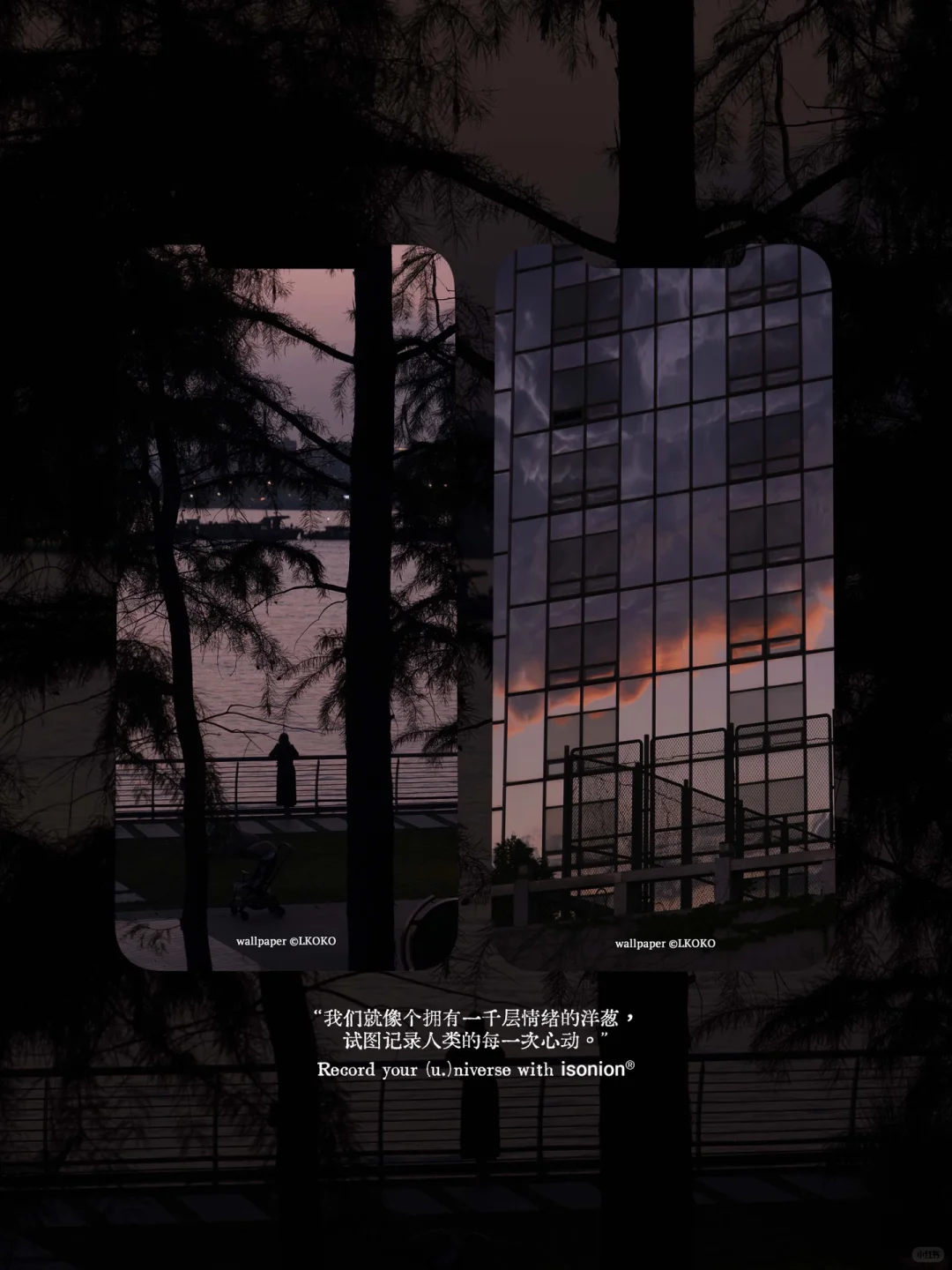 “任何落日都只是落日。”