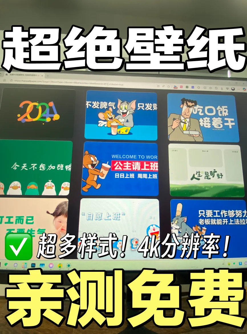 🔥小众高质量壁纸网！！！！！！