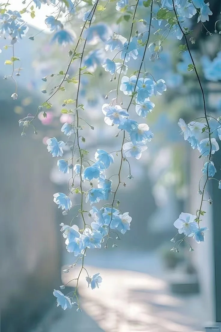 故事背景来咯❤️