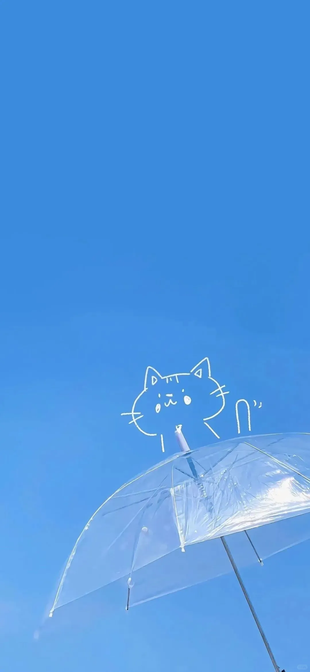 𝐒𝐡𝐚𝐫𝐞手机壁纸｜简约治愈系