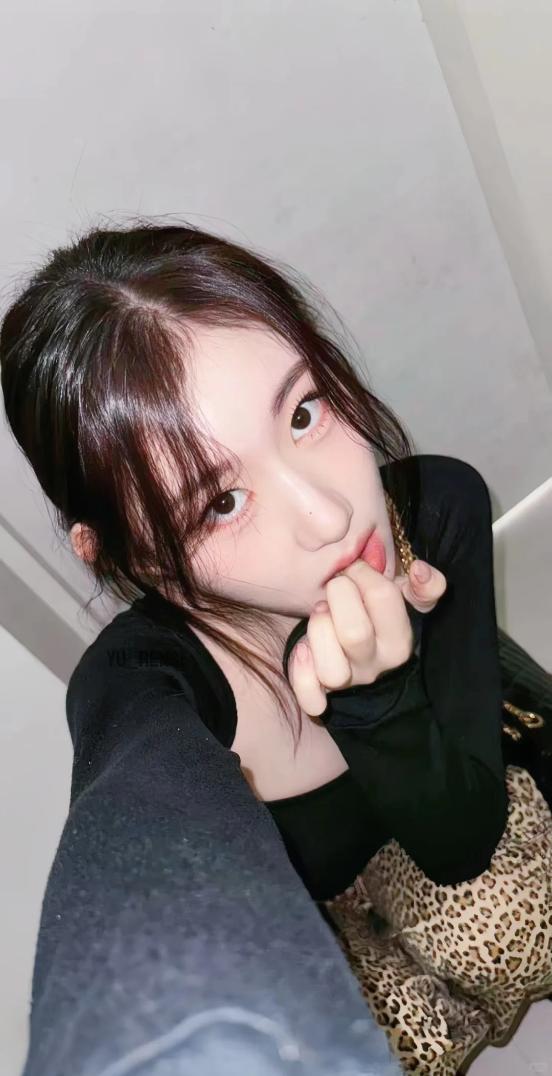 领子美商绝对很高