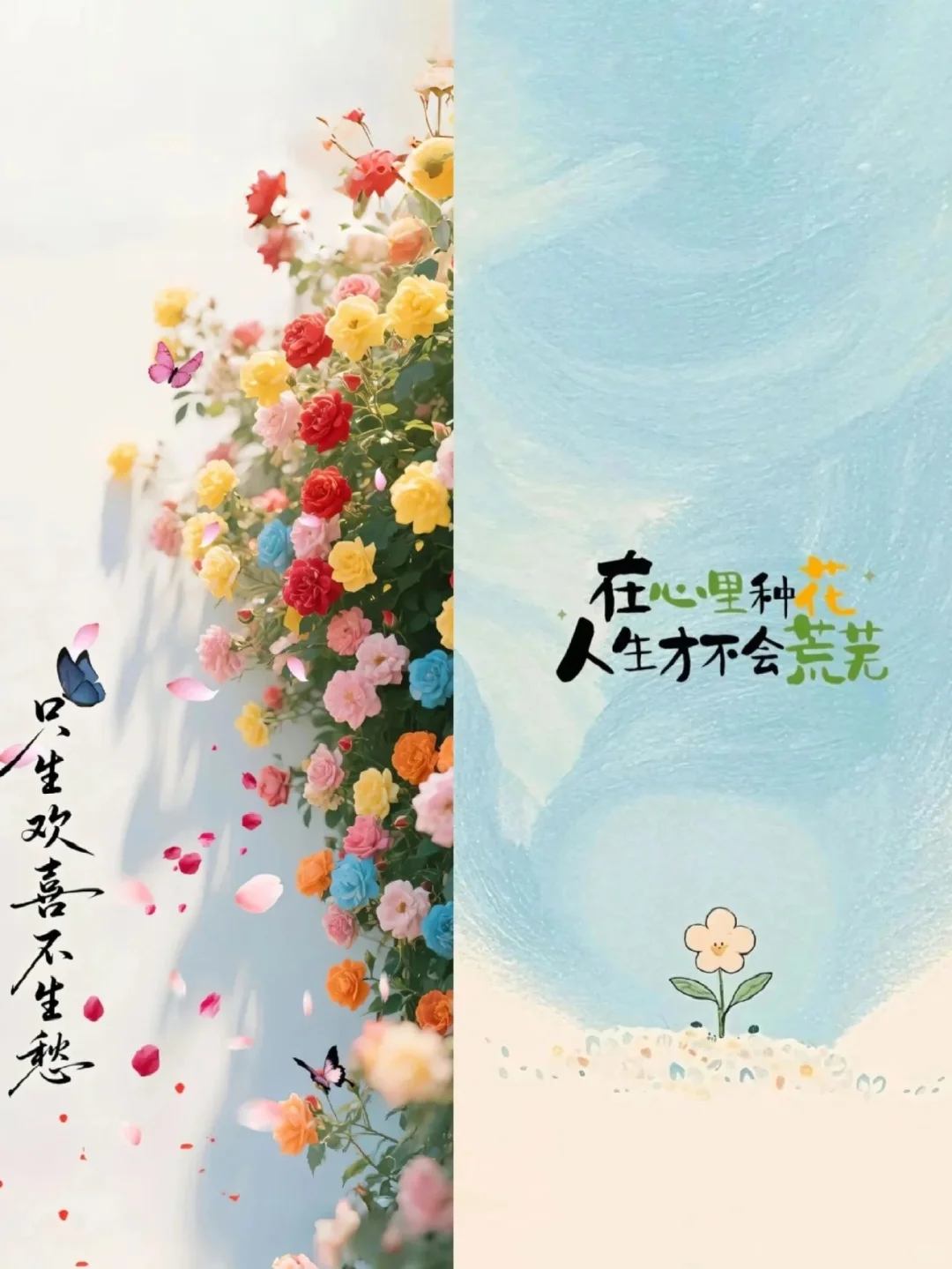 我好像找到了我的小说女主设定
