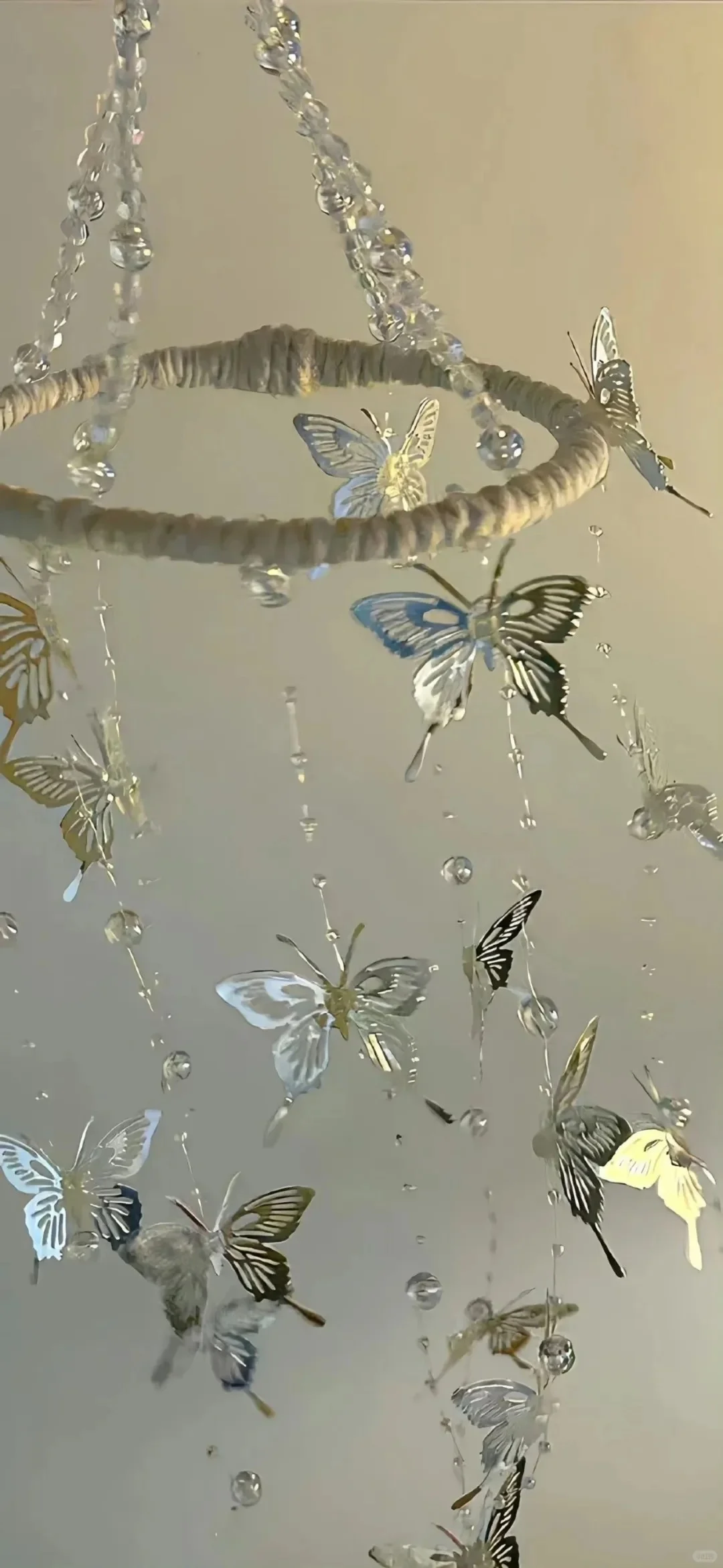 🦋关于蝴蝶～高级氛围感壁纸✩˚₊ ‧ 🫧