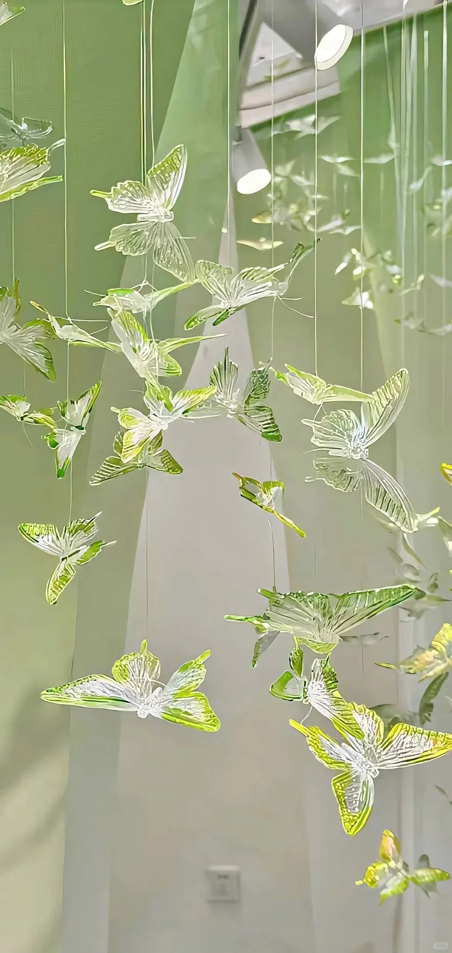 🦋关于蝴蝶～高级氛围感壁纸✩˚₊ ‧ 🫧