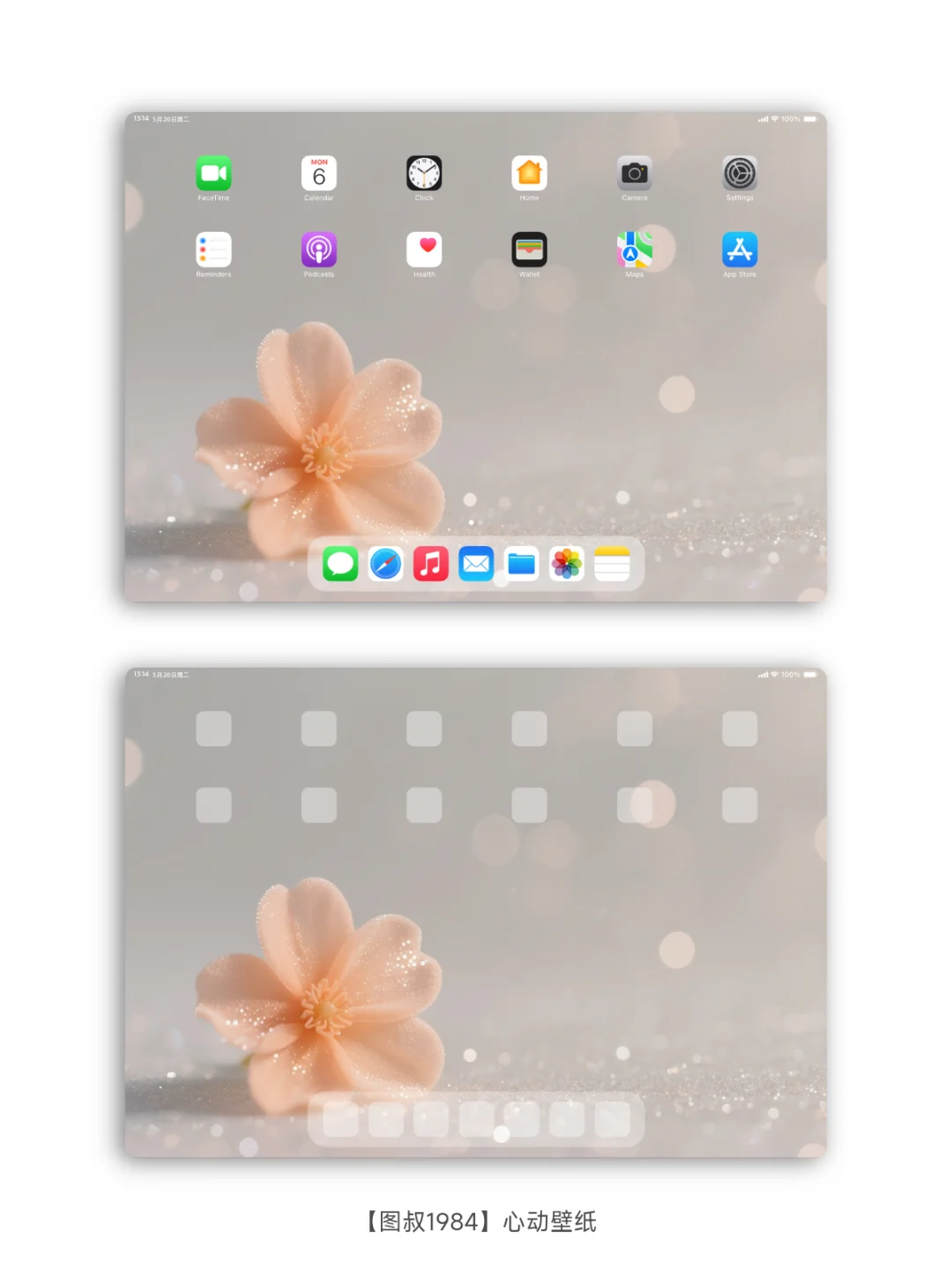 🌼一朵浅橘，是落在心上的浪漫
