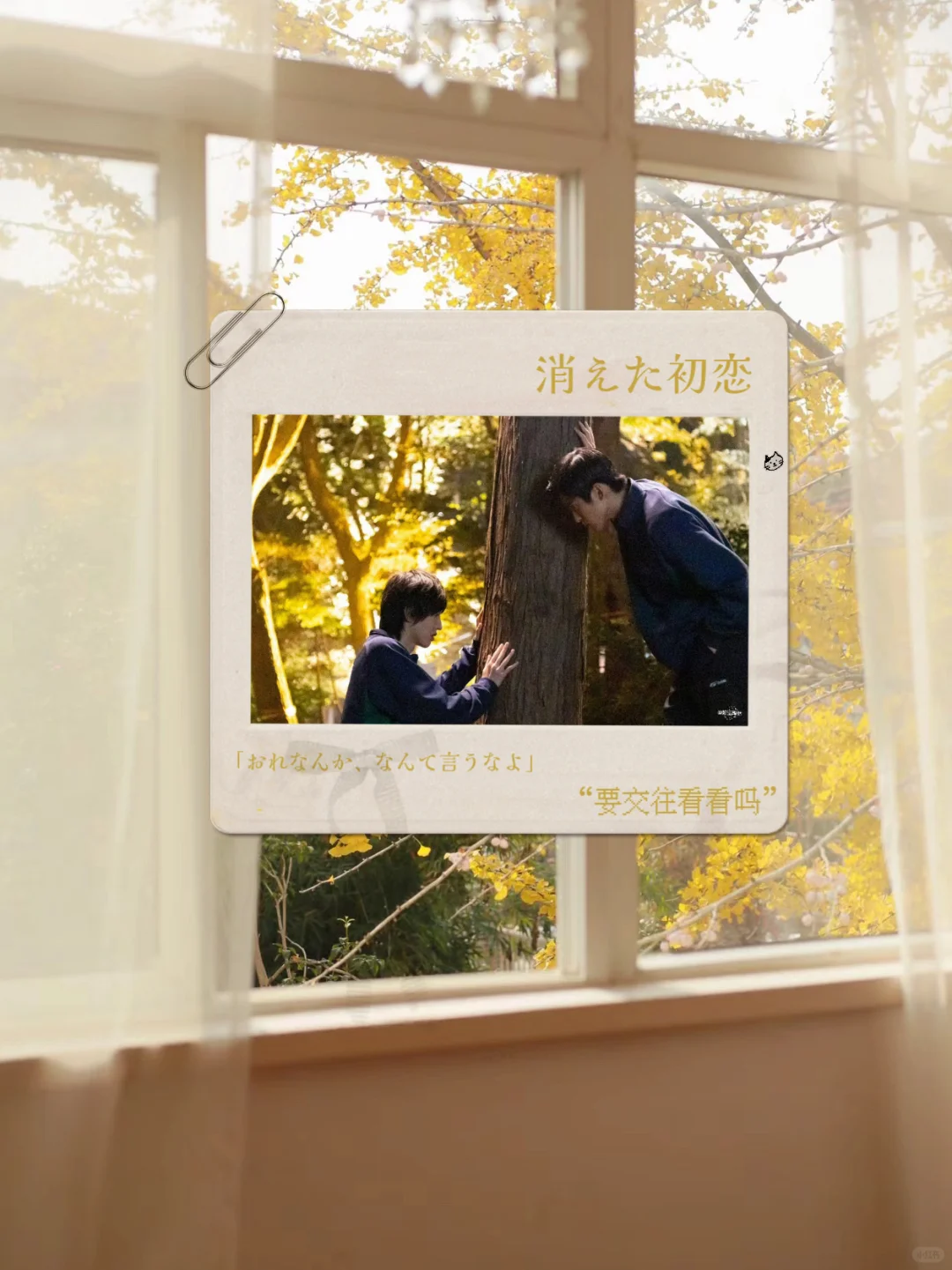 日腐背景图（2）