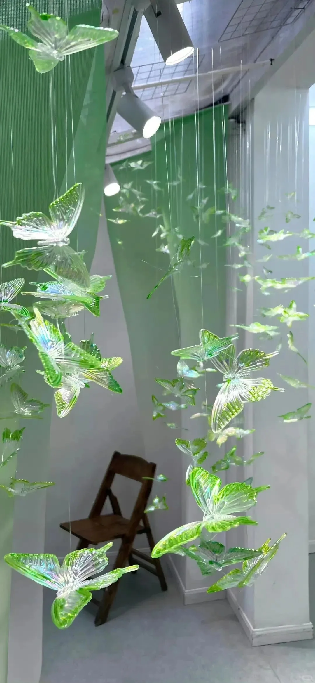 🦋关于蝴蝶～高级氛围感壁纸✩˚₊ ‧ 🫧