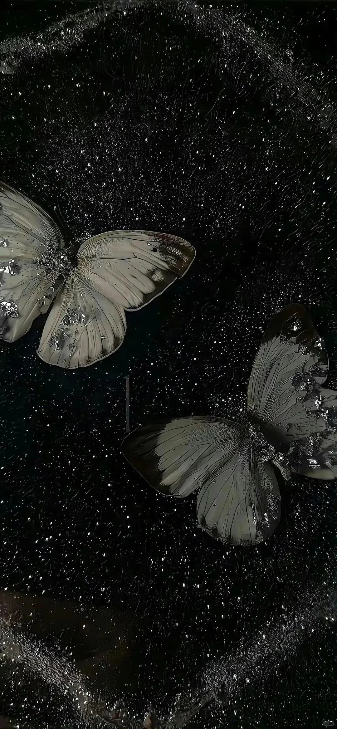 🦋关于蝴蝶～高级氛围感壁纸✩˚₊ ‧ 🫧