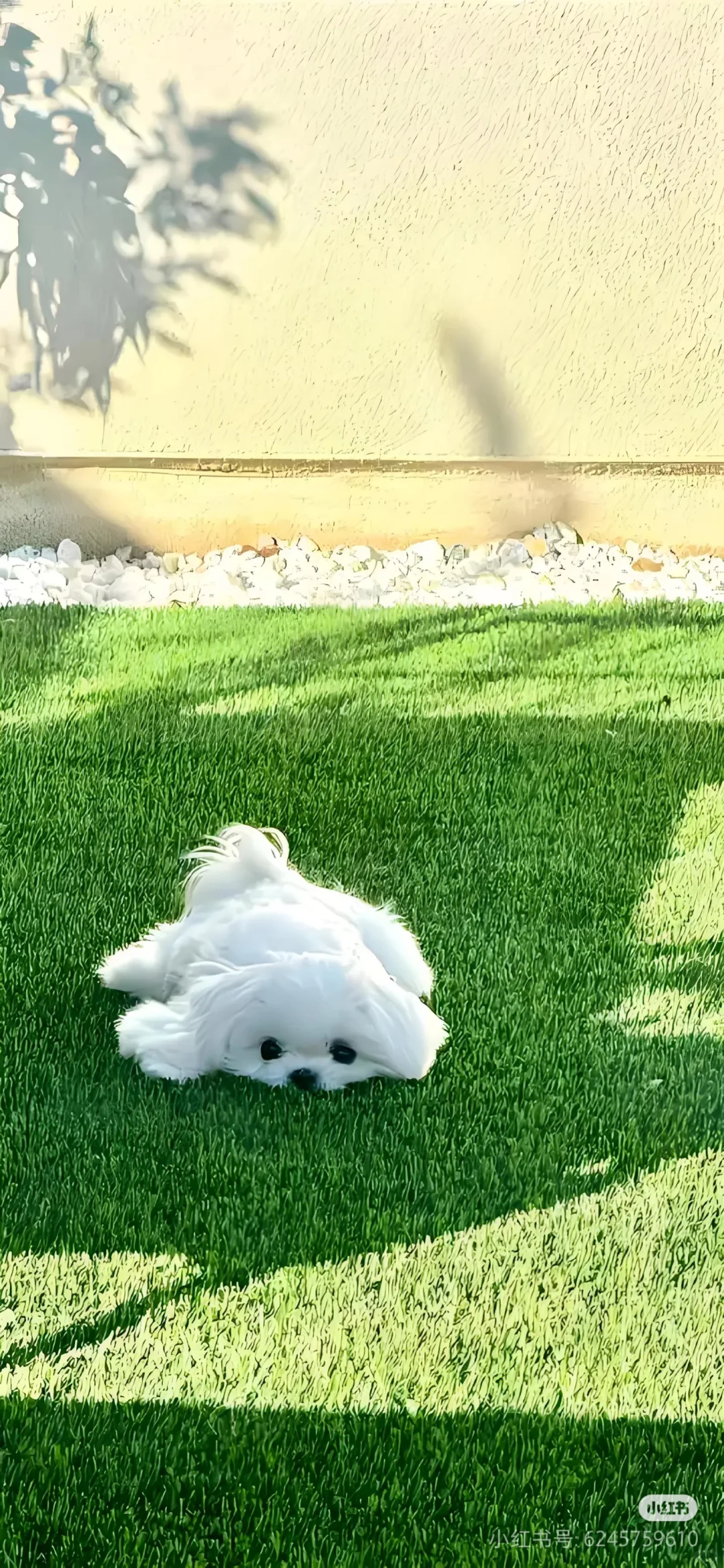 真的好喜欢韩系ins壁纸～🥰🐰🐰🐰