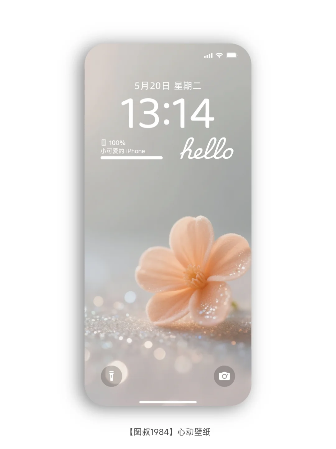 🌼一朵浅橘，是落在心上的浪漫