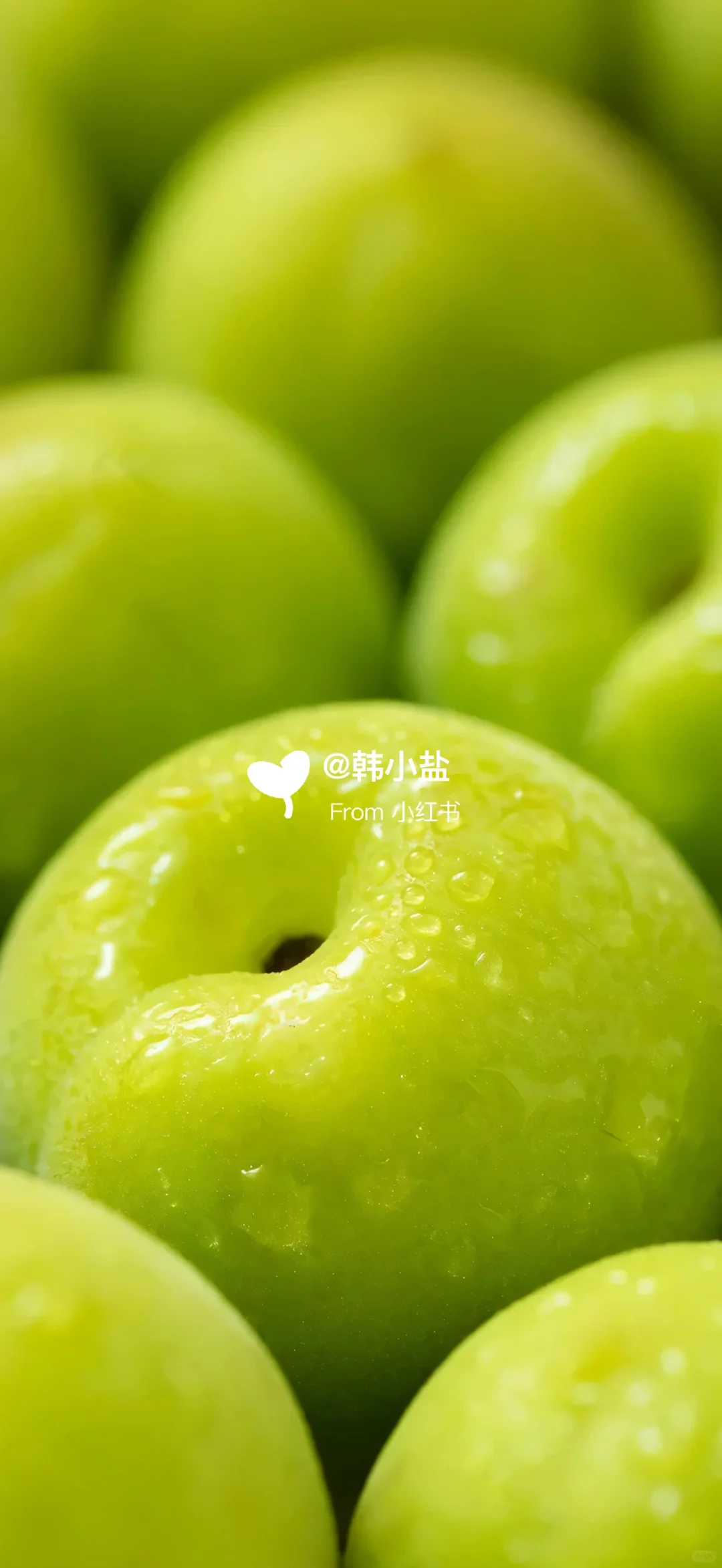 📆日历壁纸𝐒𝐡𝐚𝐫𝐞 ◡̈°｜青瑭凝露