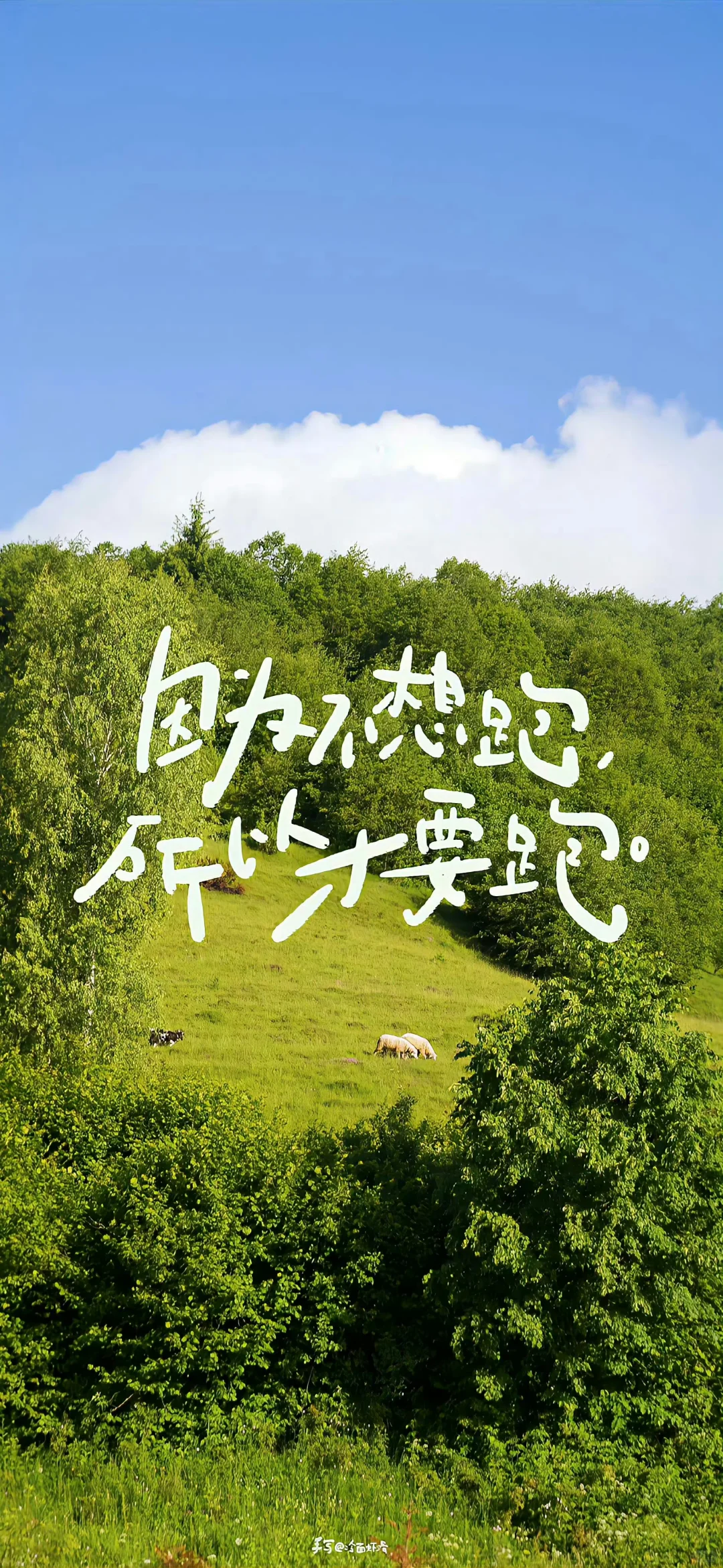 𝙬𝙖𝙡𝙡𝙥𝙖𝙥𝙚𝙧 🟡 新增万里挑一的壁纸