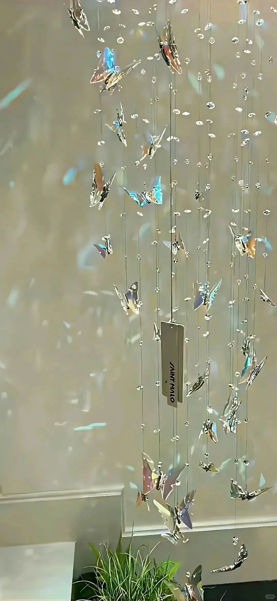 🦋关于蝴蝶～高级氛围感壁纸✩˚₊ ‧ 🫧