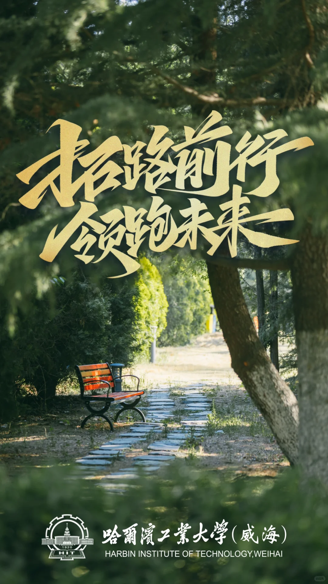 很好的手机壁纸