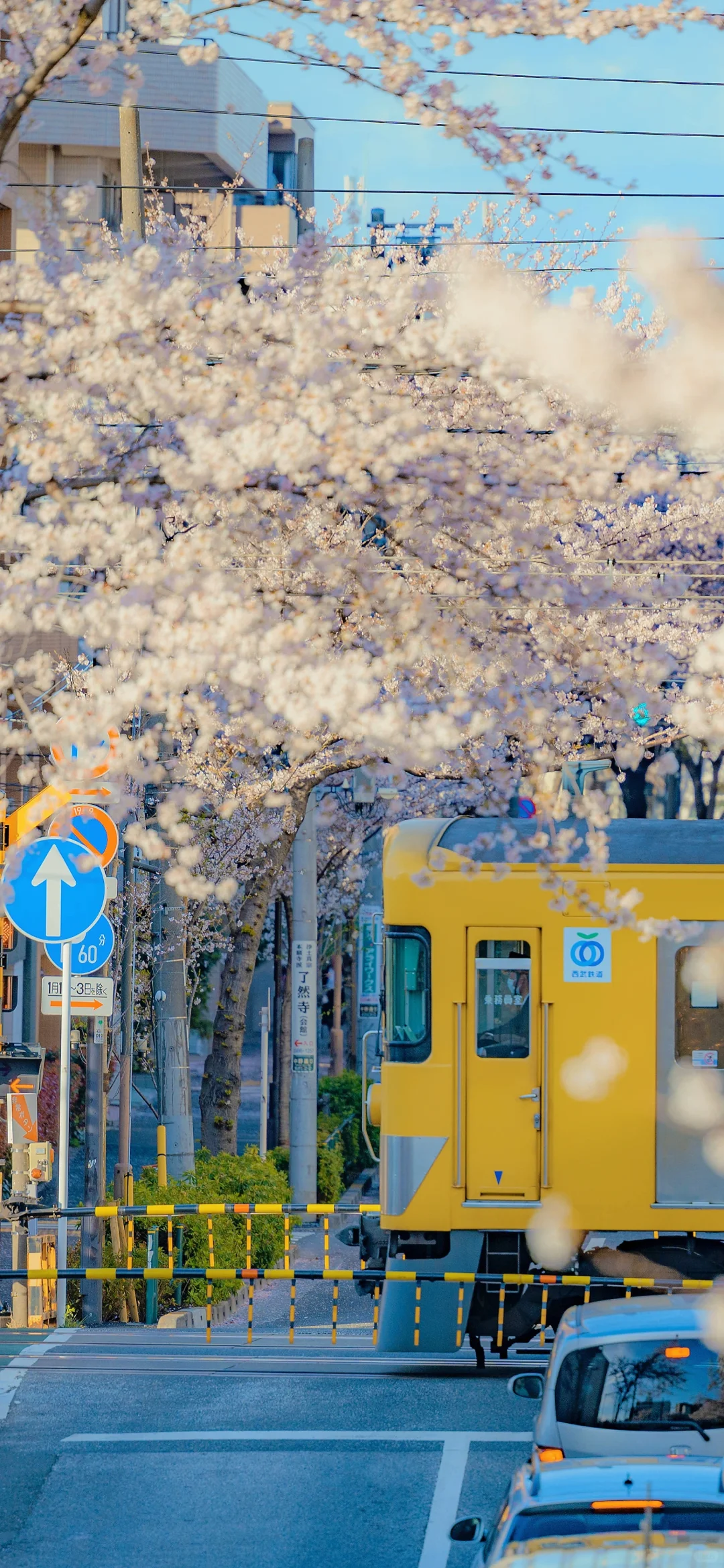 手机壁纸︳氛围感风景壁纸
