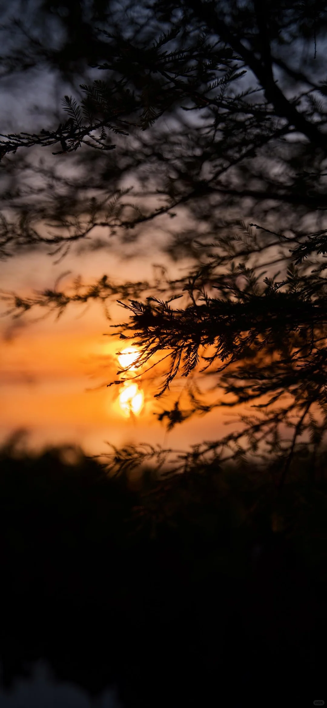 九宫格日落美学太阳🌅