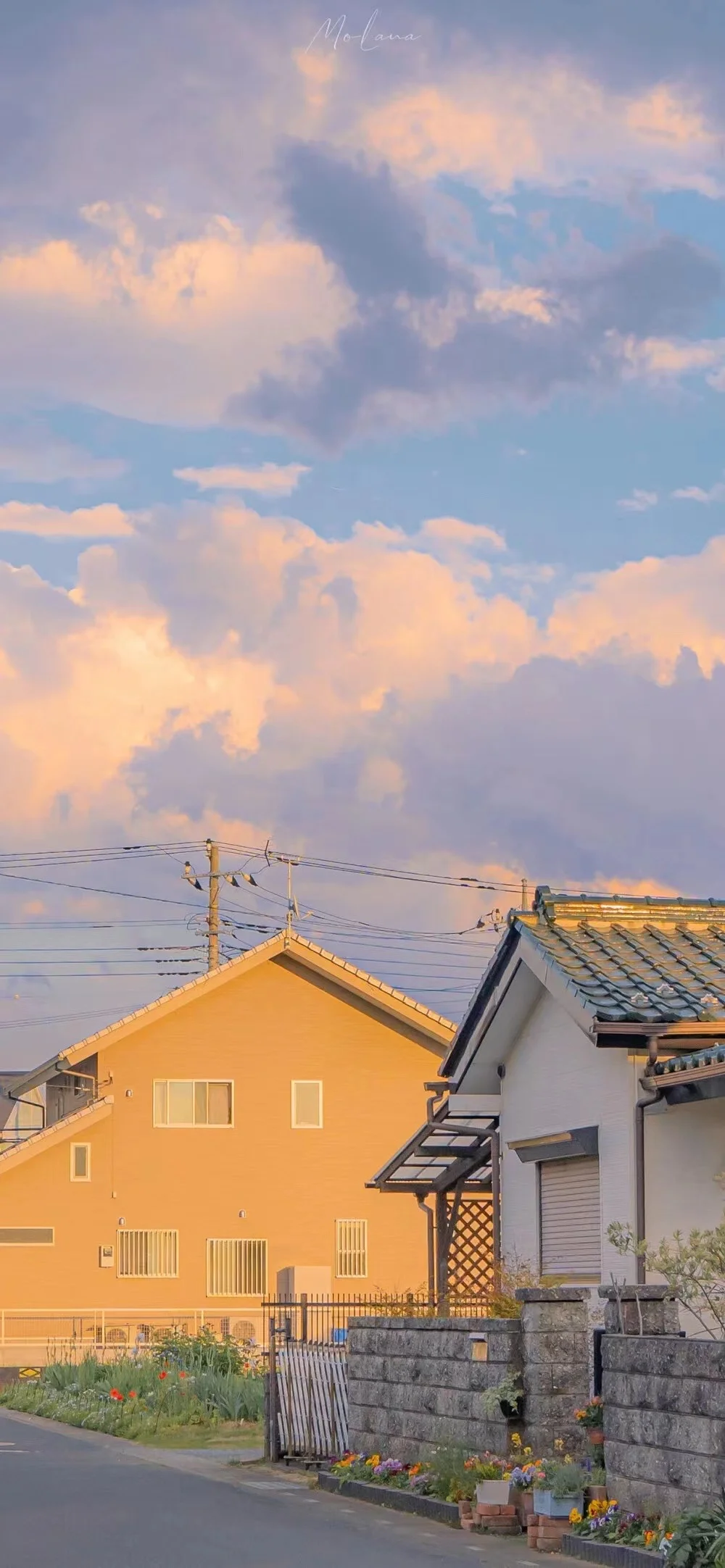𝐒𝐡𝐚𝐫𝐞｜壁纸分享 •