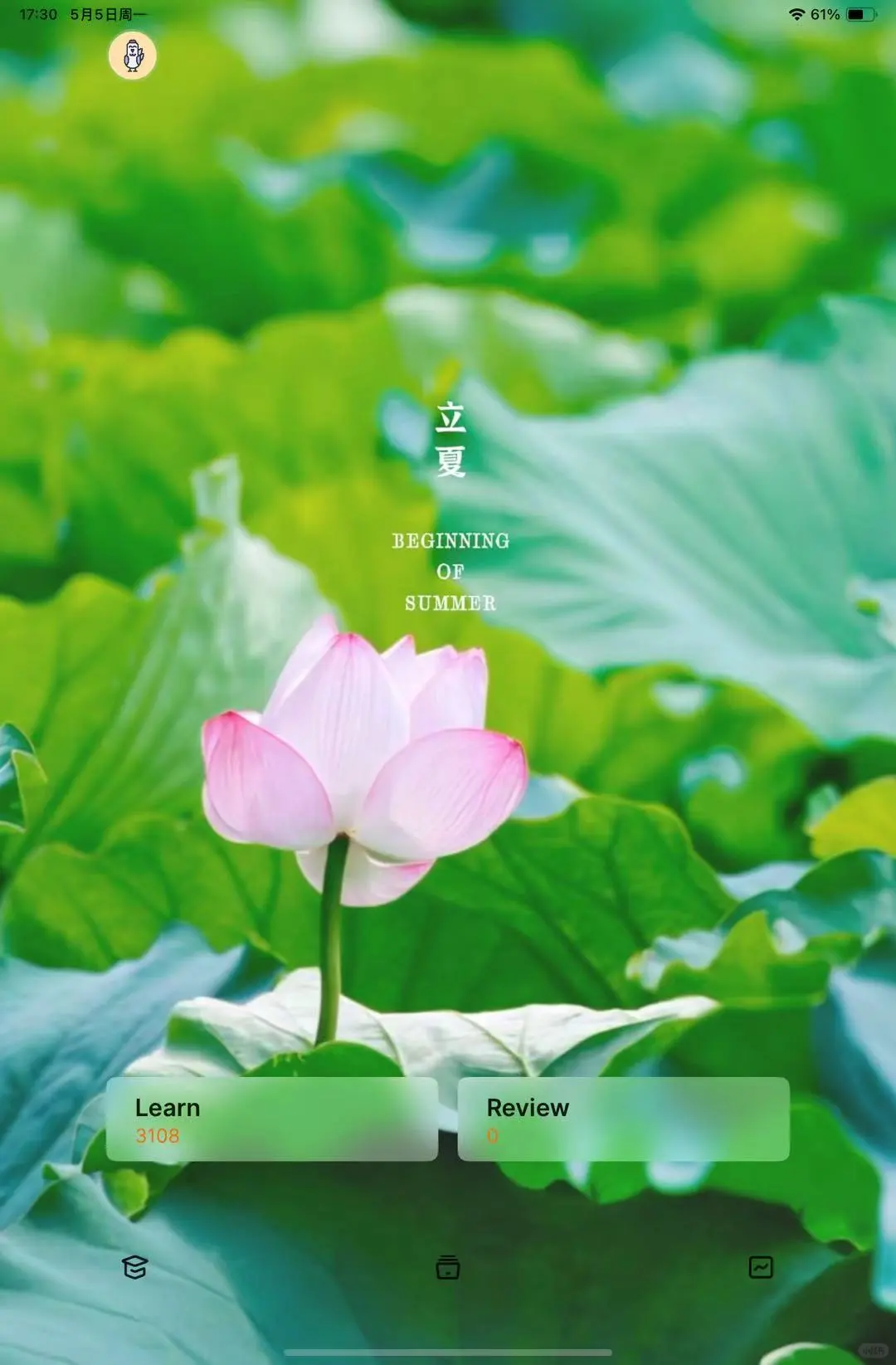立夏！今天的不背单词背景图好好看