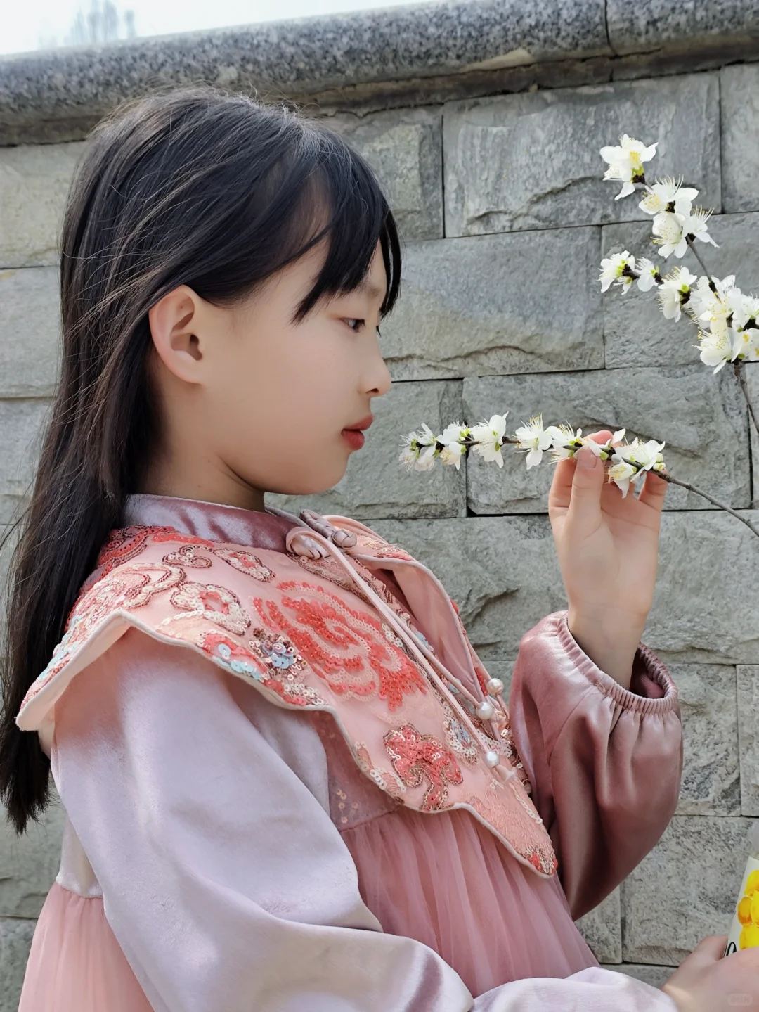 🌸吾家有女初长成🌸