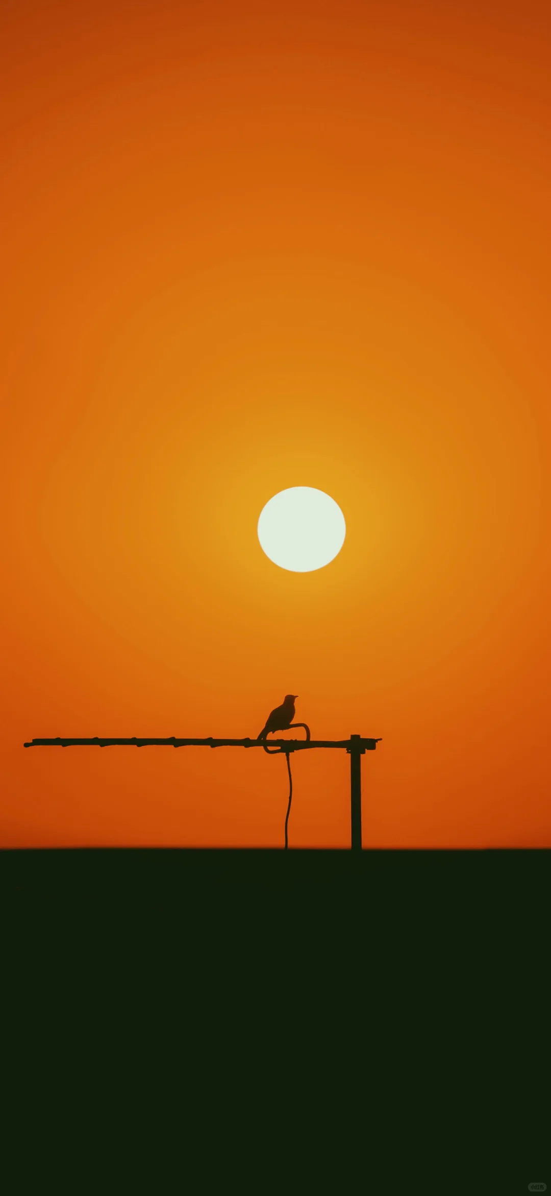 九宫格日落美学太阳🌅