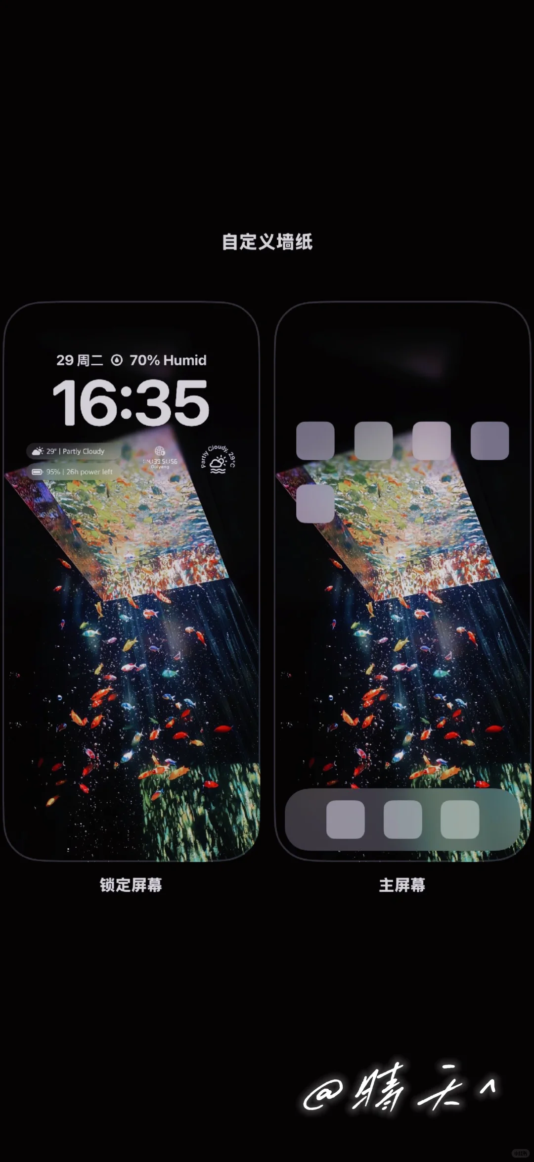 wallpaper🐟｜今日鱼鱼系7.29 