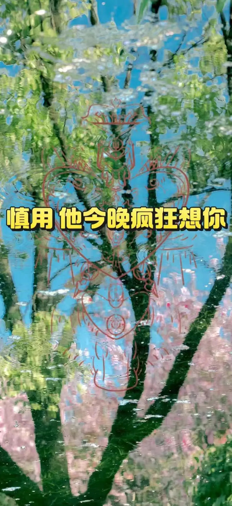 超强壁纸「超强壁纸|让爱在细微处生长」#浪