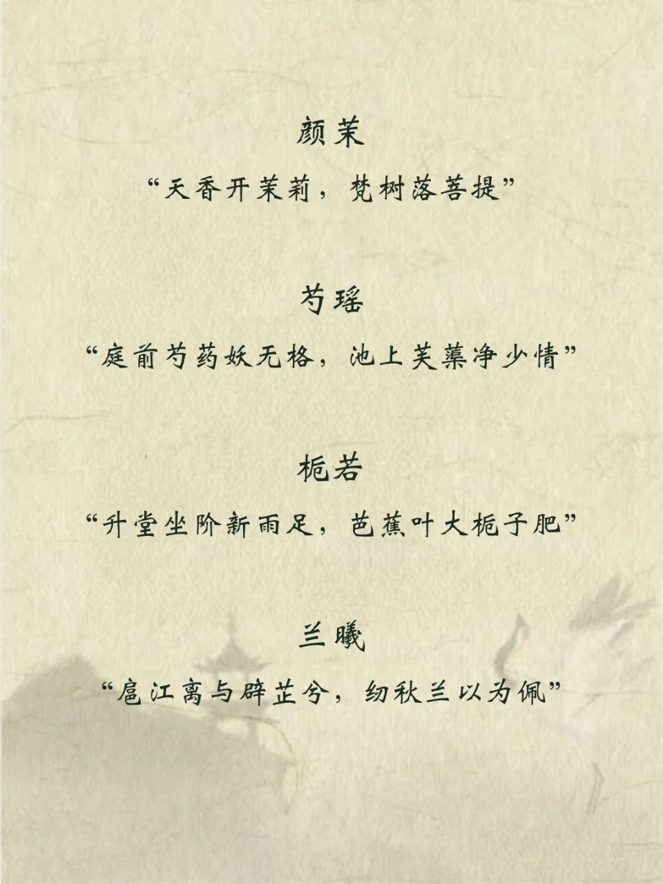 娇艳且明媚 以“花”入名的女孩名