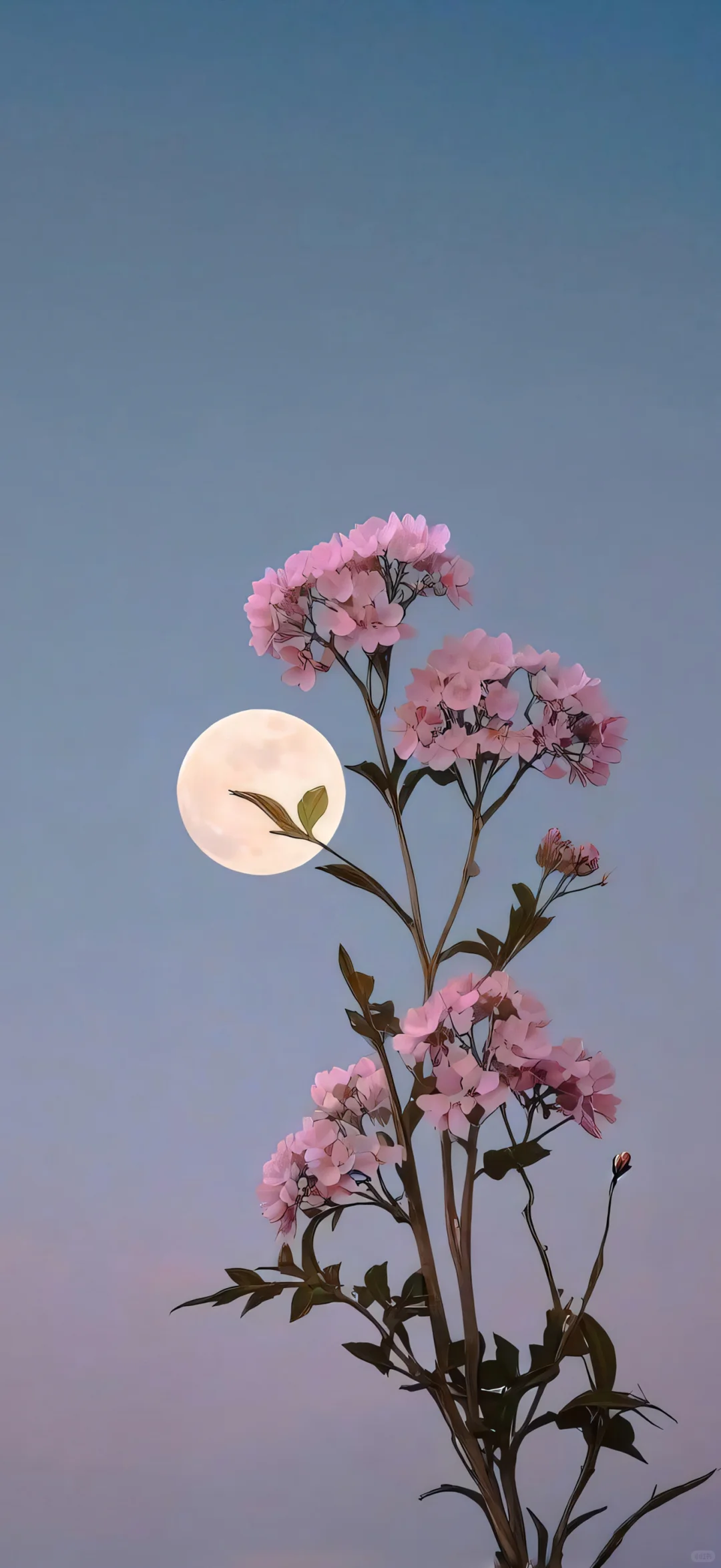 壁纸｜治愈风景