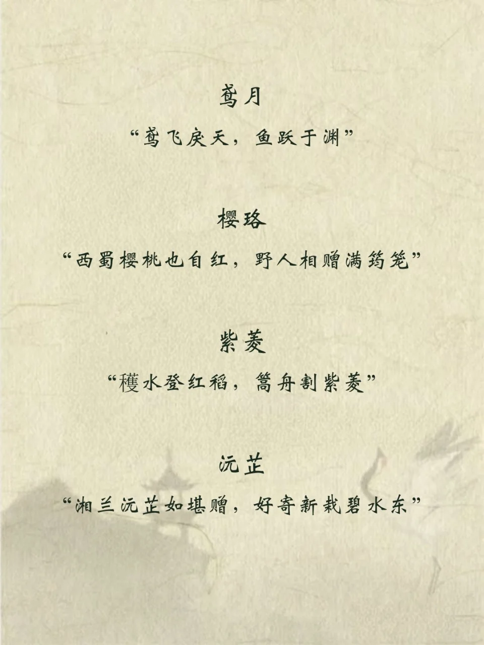 娇艳且明媚 以“花”入名的女孩名
