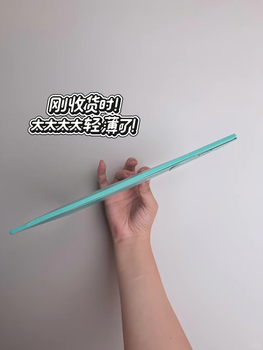 大家爱看的夏日🐻贴测评又双叒叕来了