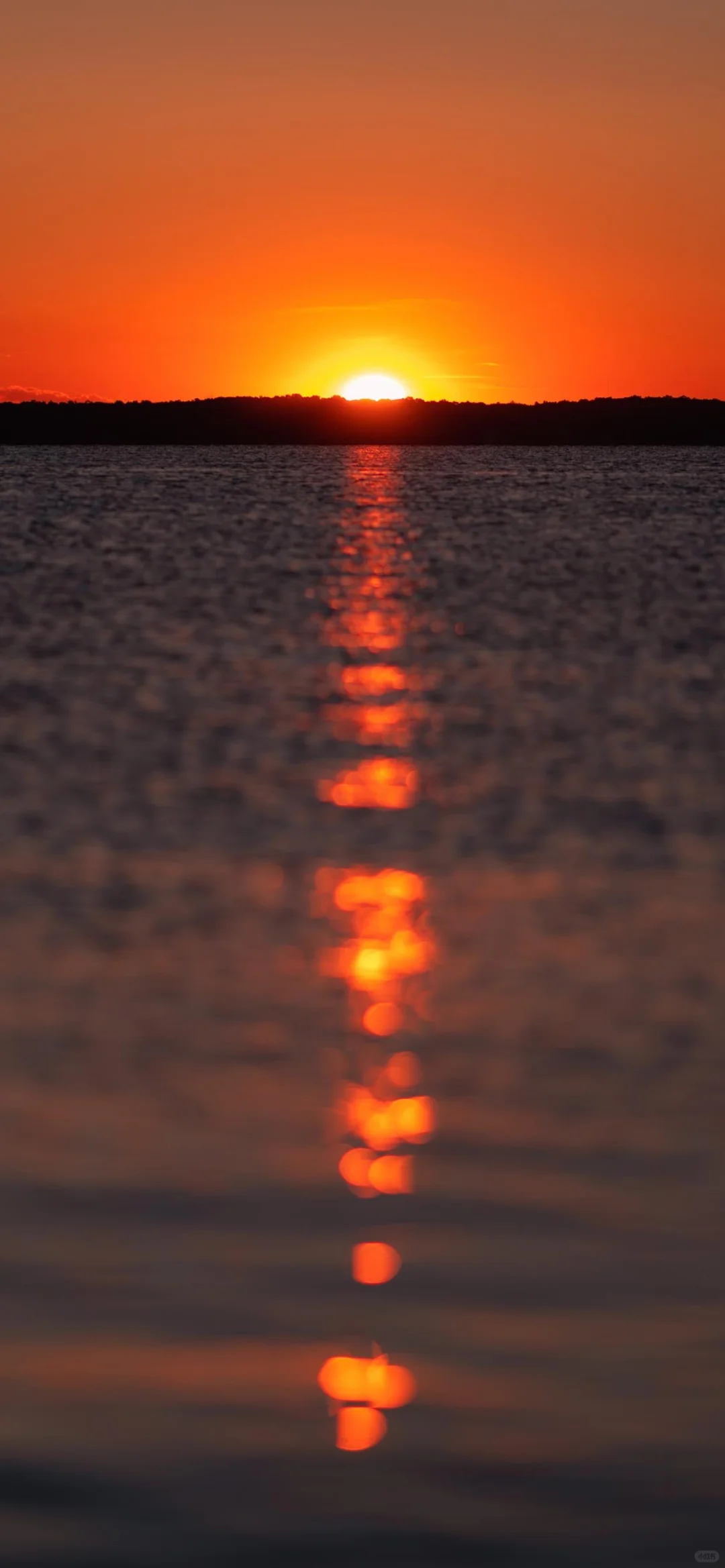 九宫格日落美学太阳🌅