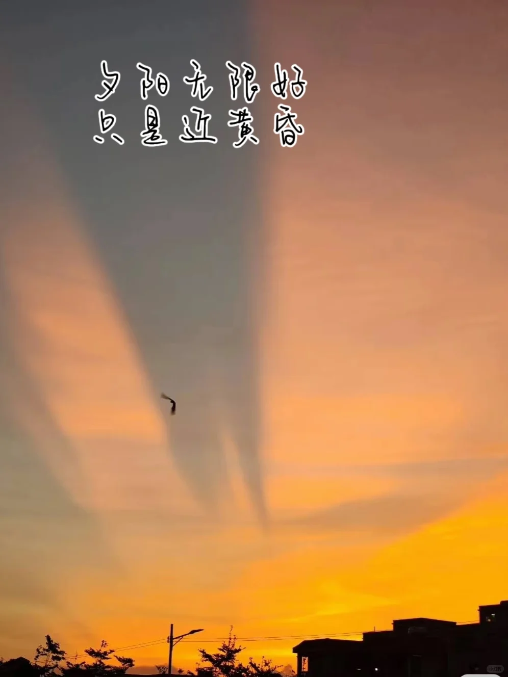 教师暑假篇｜一场跨次元的穿搭共鸣