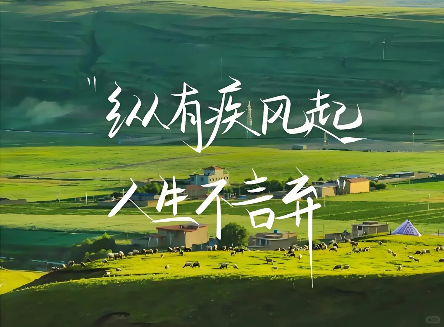 选择困难症辣😭绿色系iPad壁纸最近超喜欢
