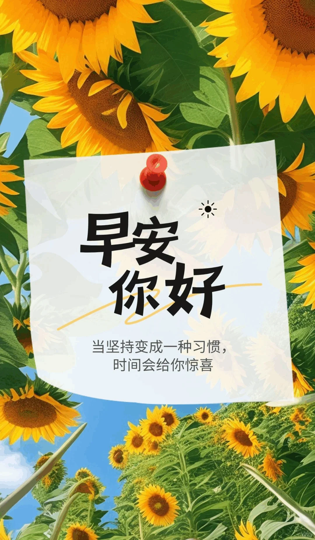 早安，珍惜每一个当下，砥砺前行