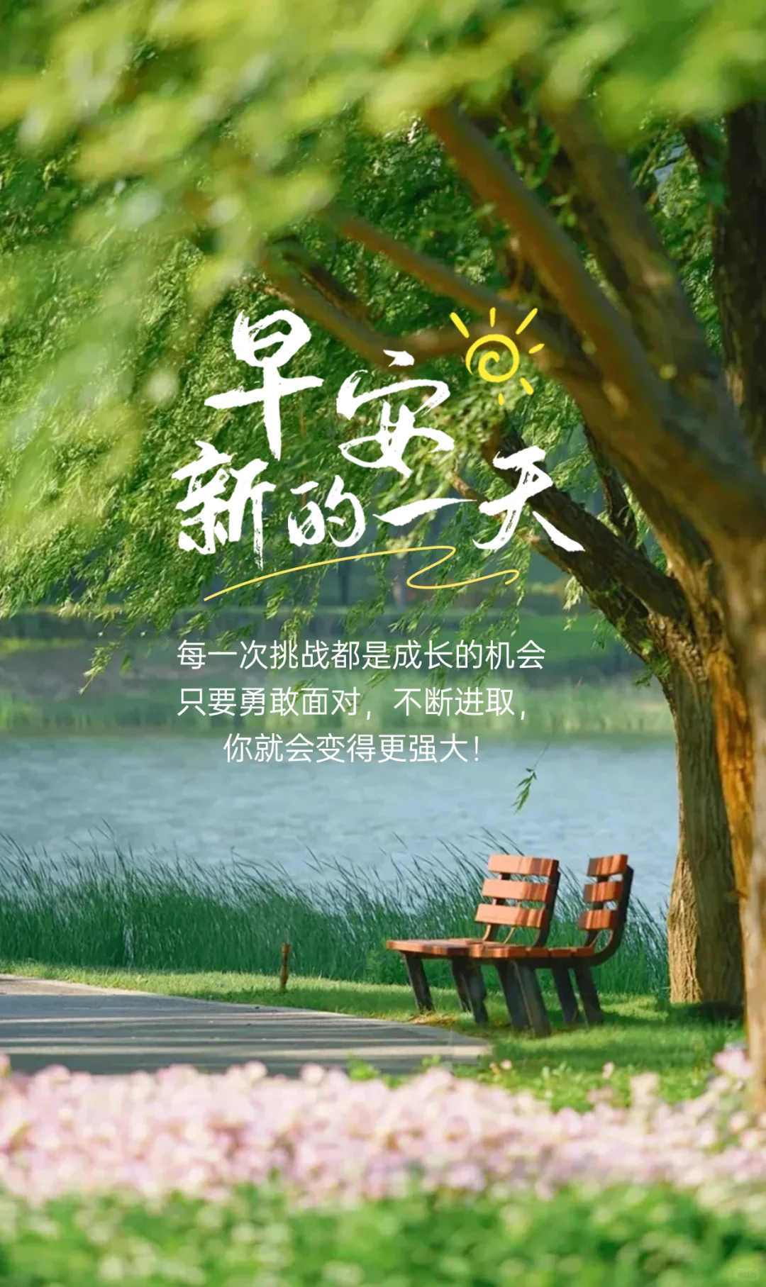 日签海报/早安海报/一周七天不重样海报