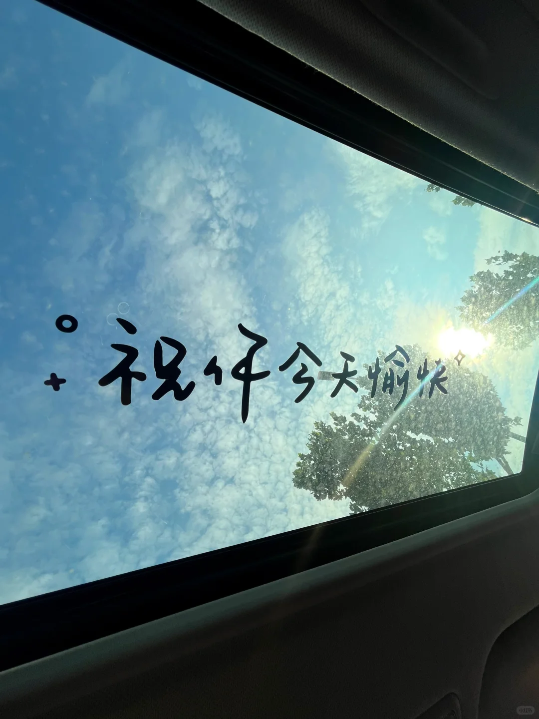 祝你今天愉快🍉