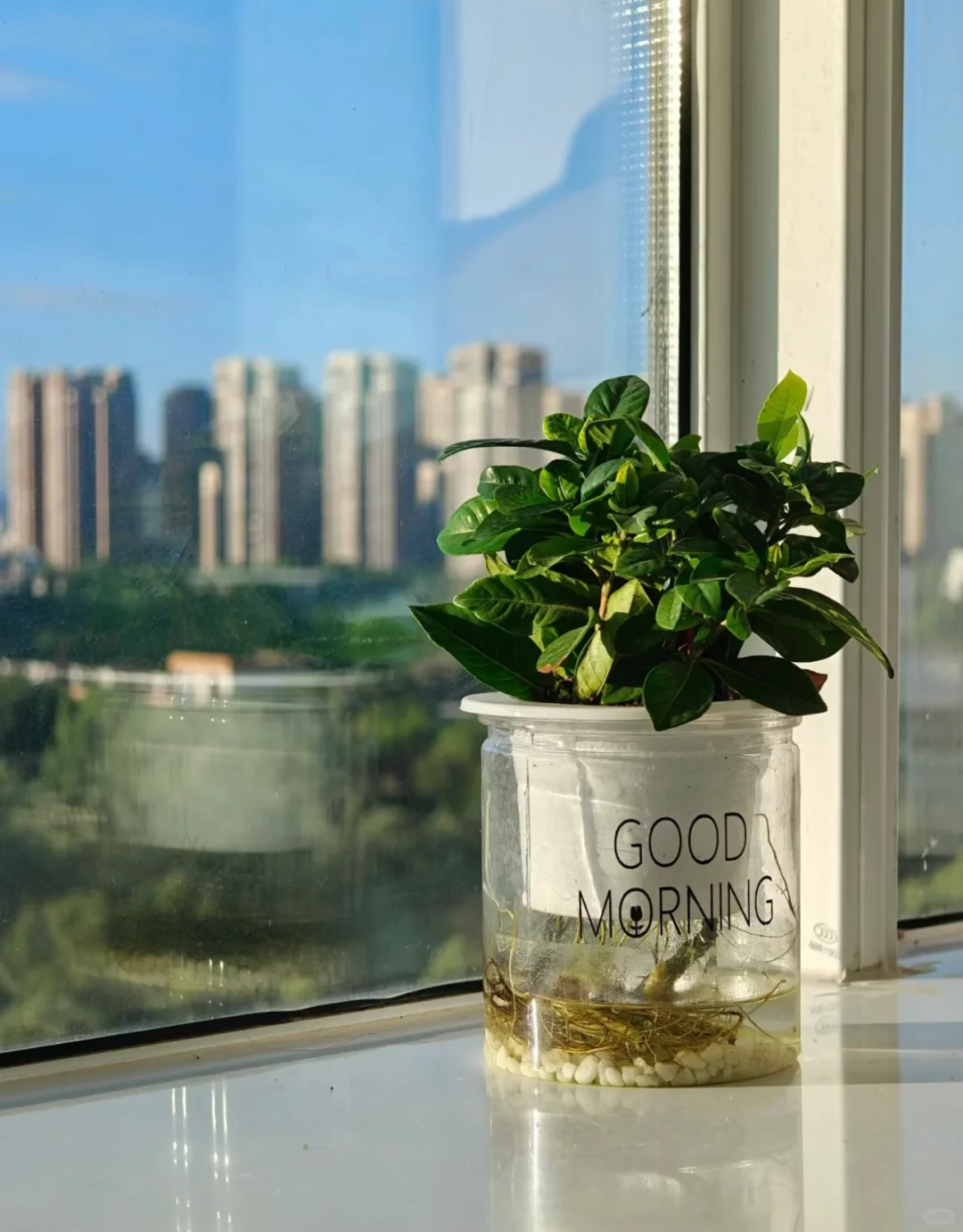 晨光熹微，拥抱每一个温柔的早晨