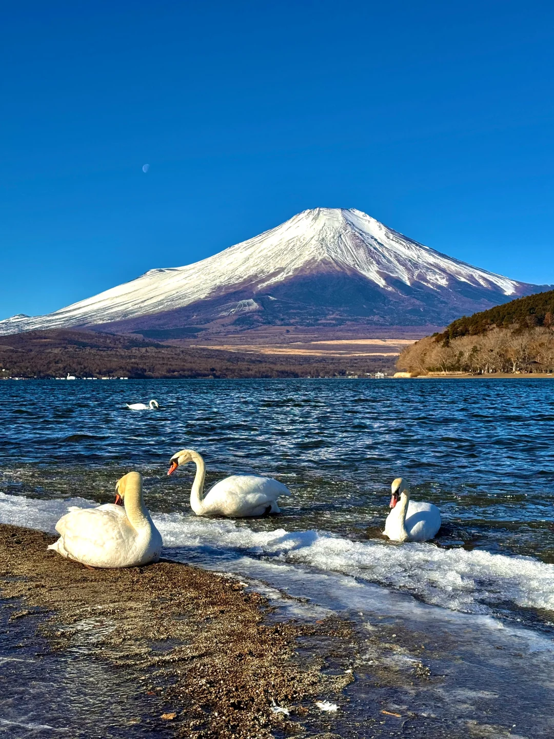 离开富士山了😭哭着发出1️⃣8️⃣张live图‼️