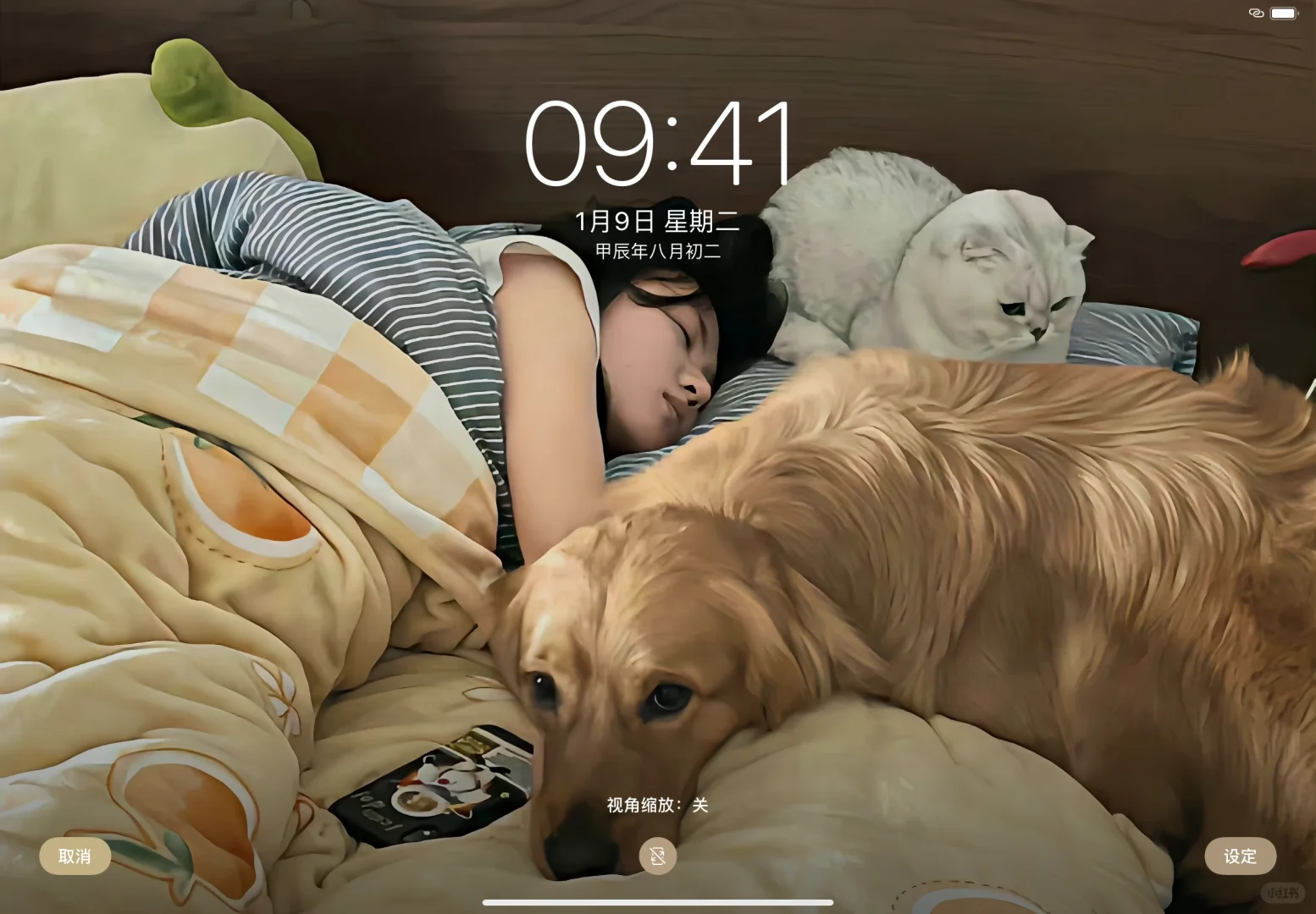 iPad壁纸分享 怡然自如篇